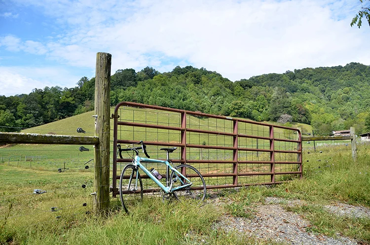 PedaltoPlate_2018_07 copy.jpg