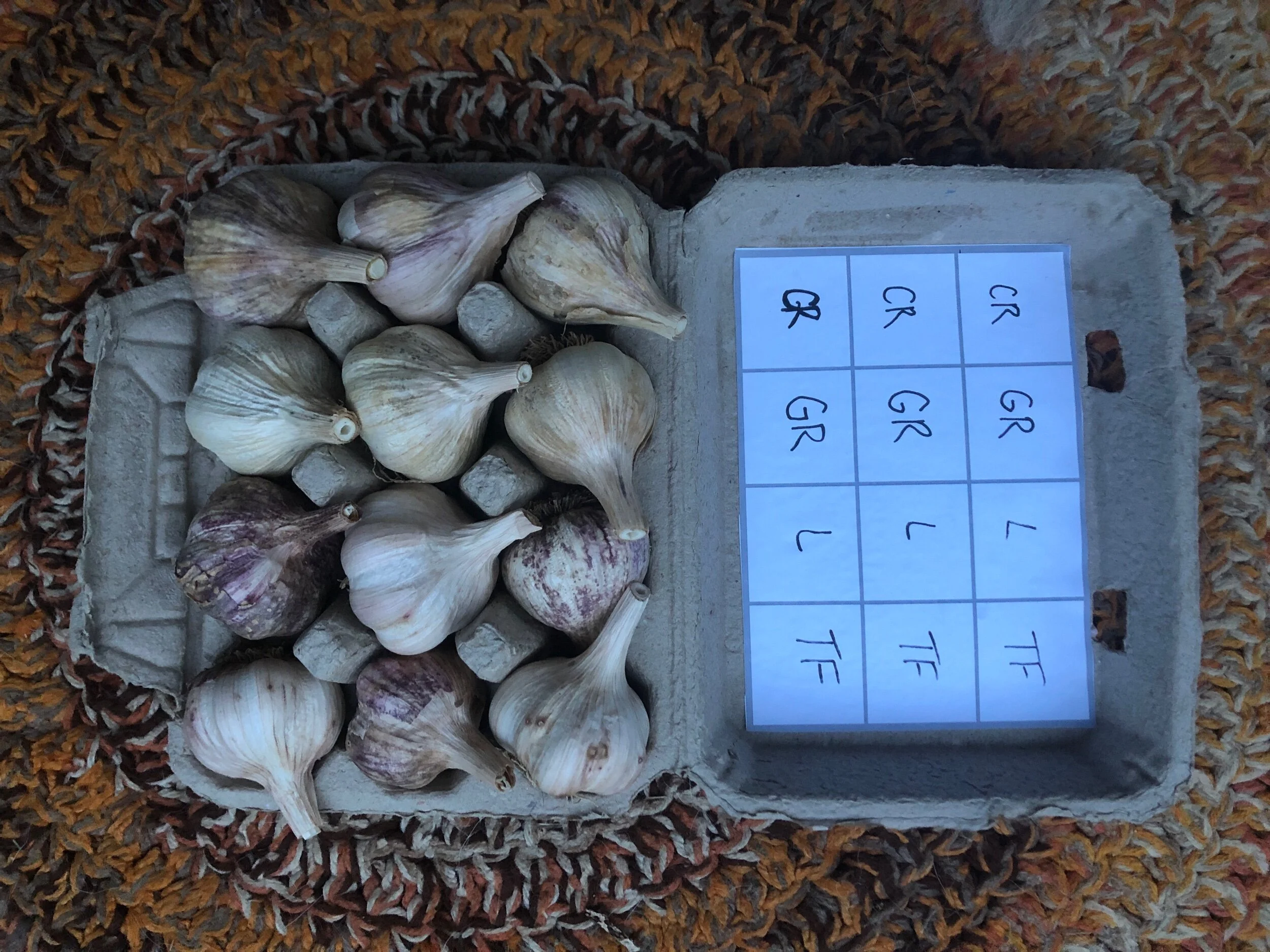 7547E48E-90D7-4D1F-84AD-66A2504CF34C