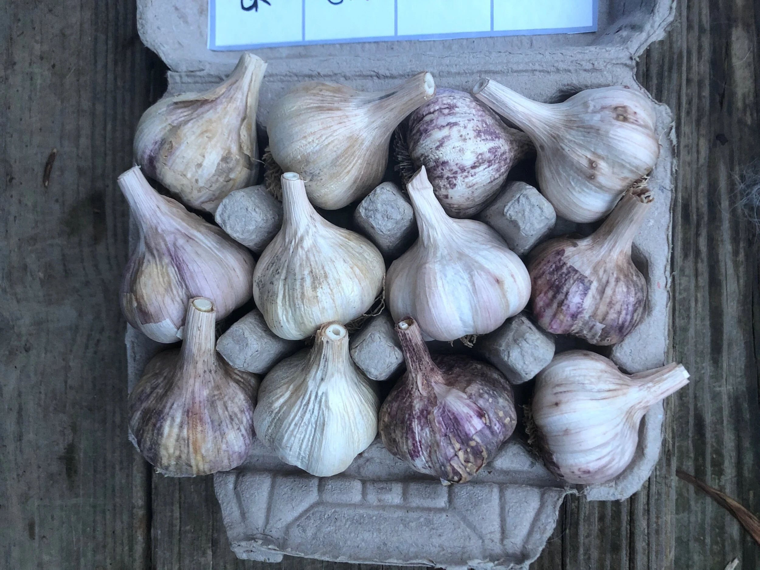 9B015866-F227-4536-959B-45A1EA5CFADD