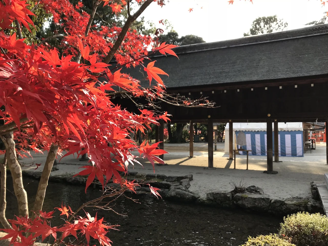 kyoto_IMG_3593.jpg
