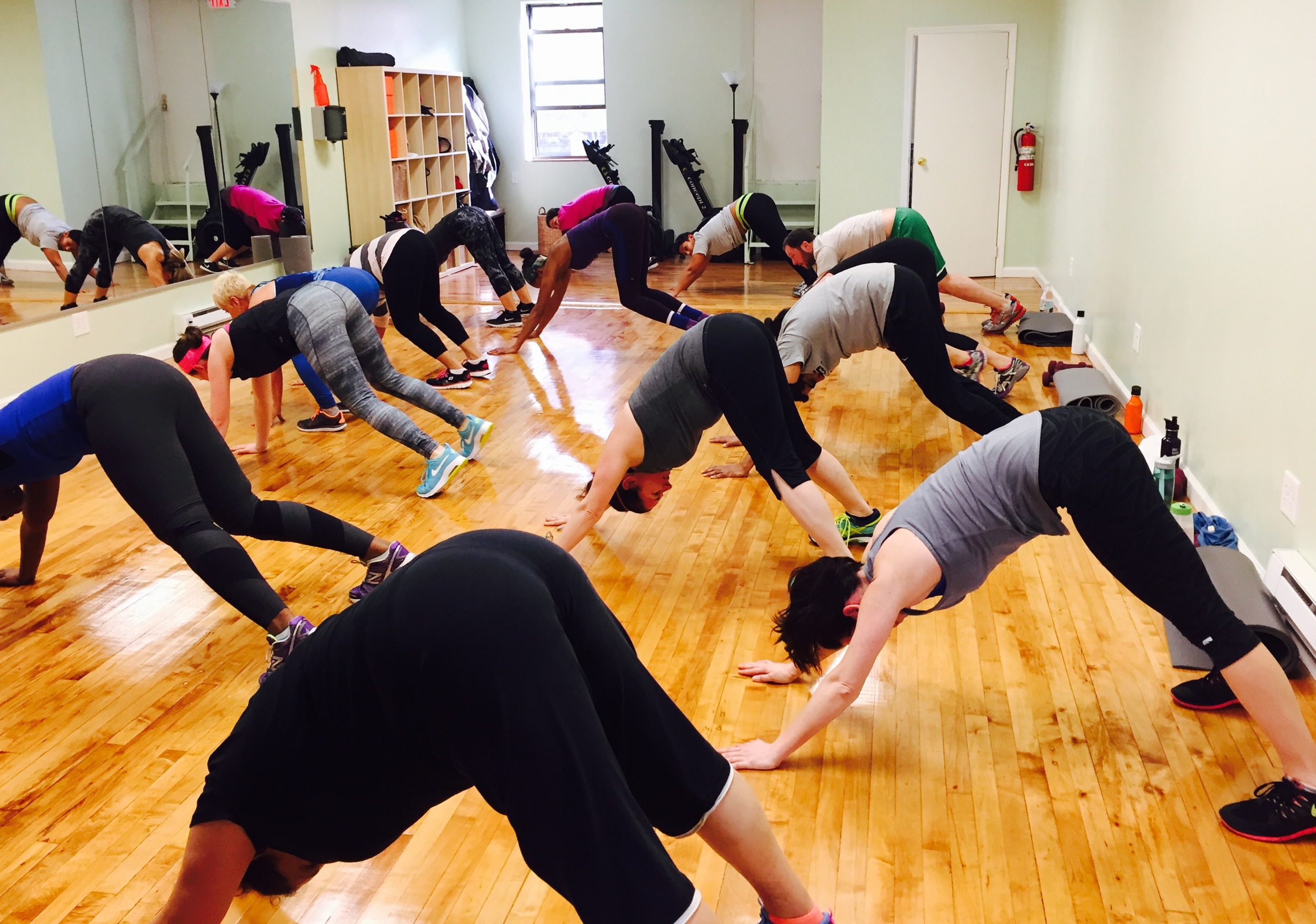 downward facing dog.jpg