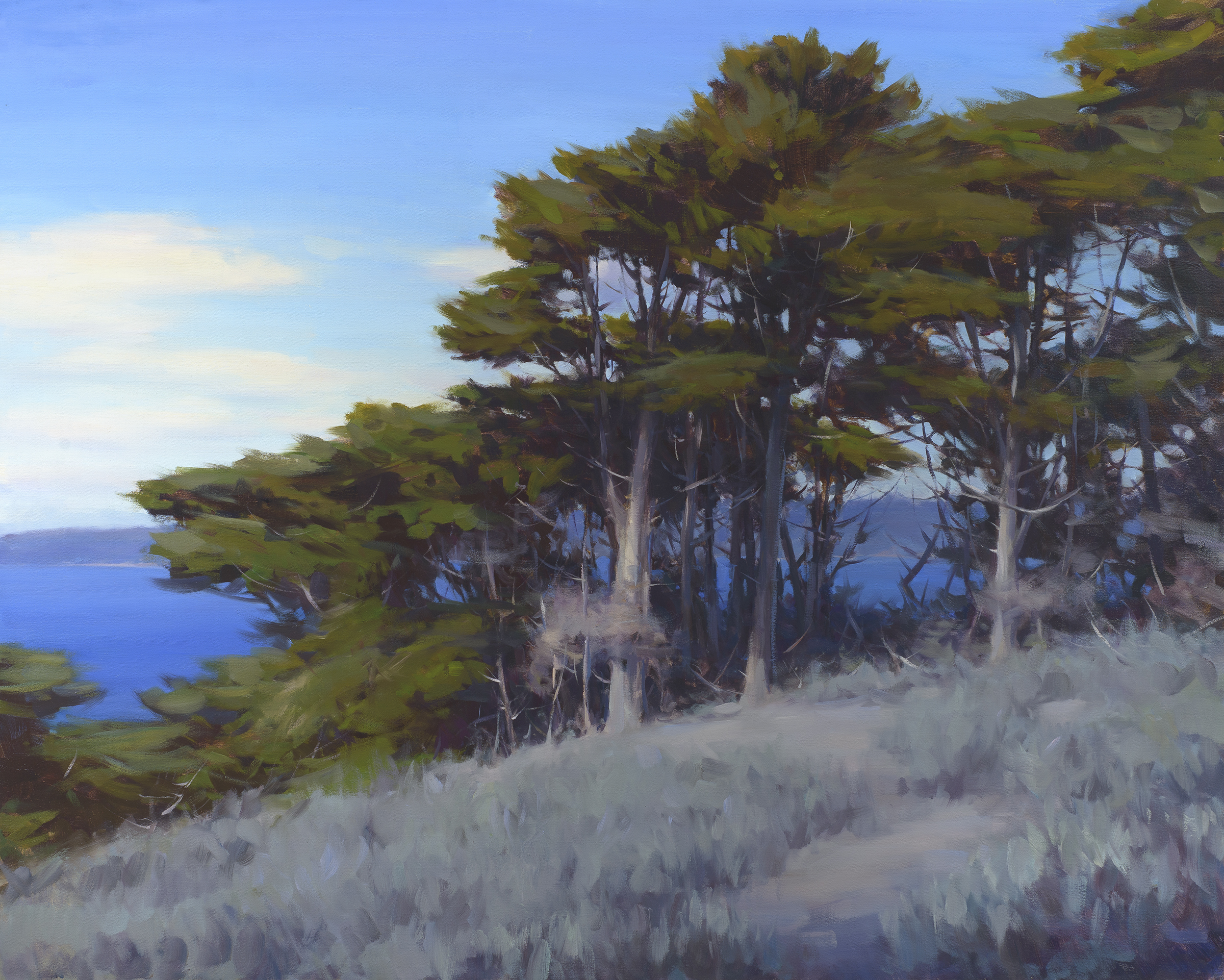  &nbsp; &nbsp; POINT LOBOS&nbsp; &nbsp; &nbsp; 40x50 &nbsp;inches, oil on linen  