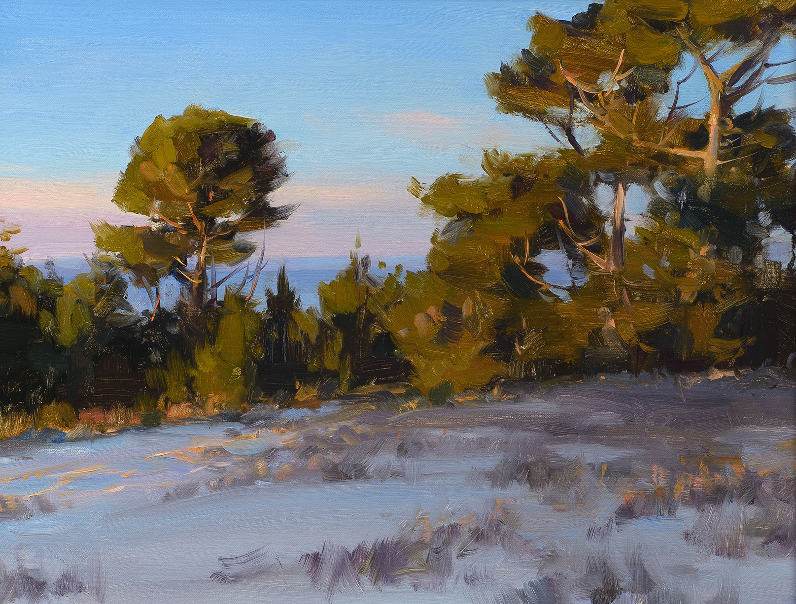  FANSHELL BEACH DUNES &nbsp; &nbsp; &nbsp; &nbsp; &nbsp; &nbsp; 14X18 inches, oil on linen  