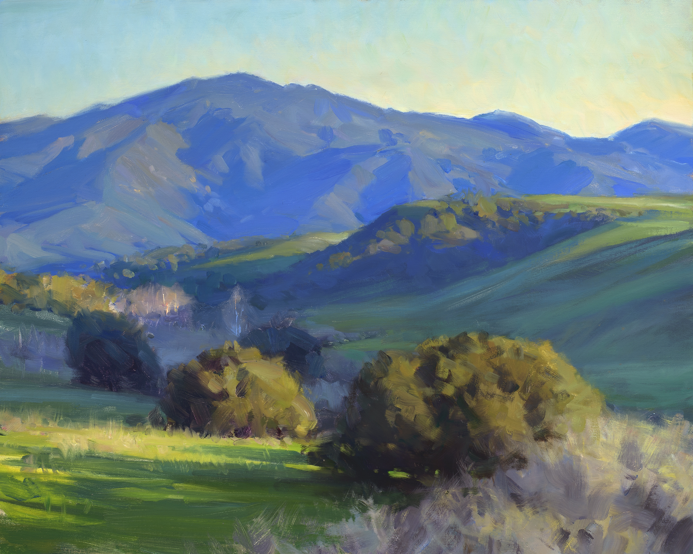  GAVIOTA COAST, SANTA BARBARA &nbsp; &nbsp; &nbsp; &nbsp; &nbsp;&nbsp; 24x30 inches, oil on linen  SOLD   