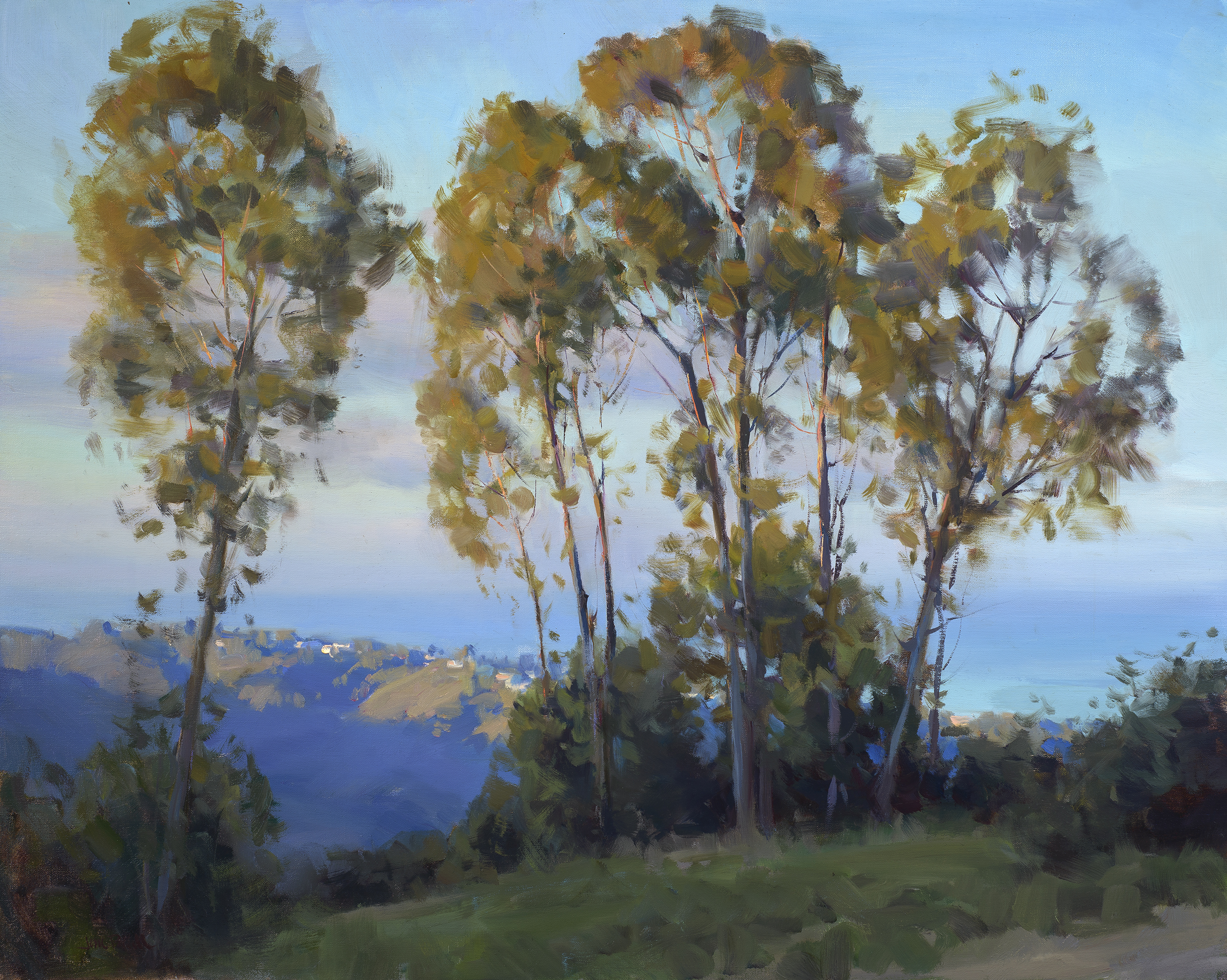  TOP OF THE WORLD, LAGUNA BEACH&nbsp; &nbsp; 24x30 inches, oil on linen  SOLD   