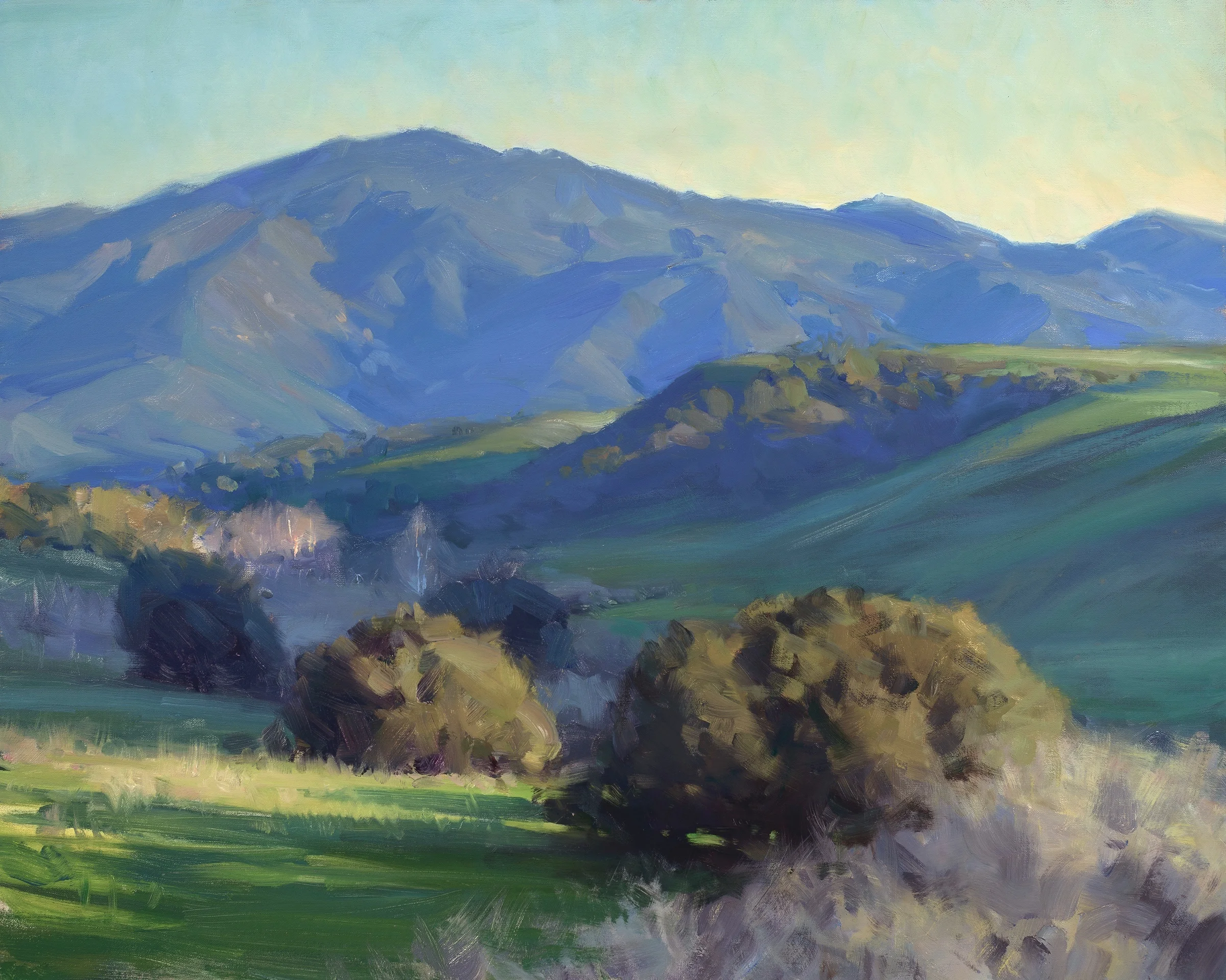 Gaviota 24x30.jpg