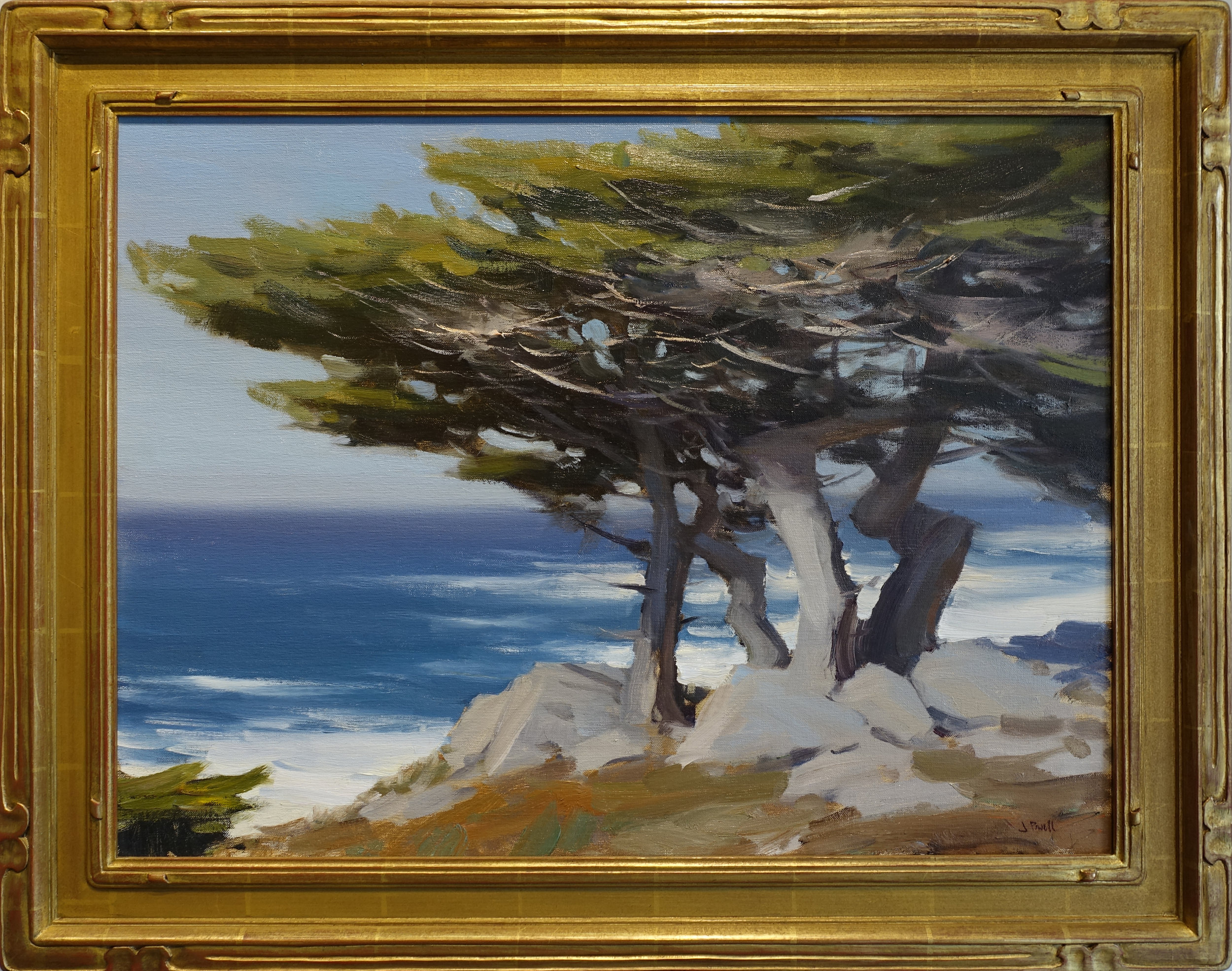 pebble beach cypress 18x24 .jpg
