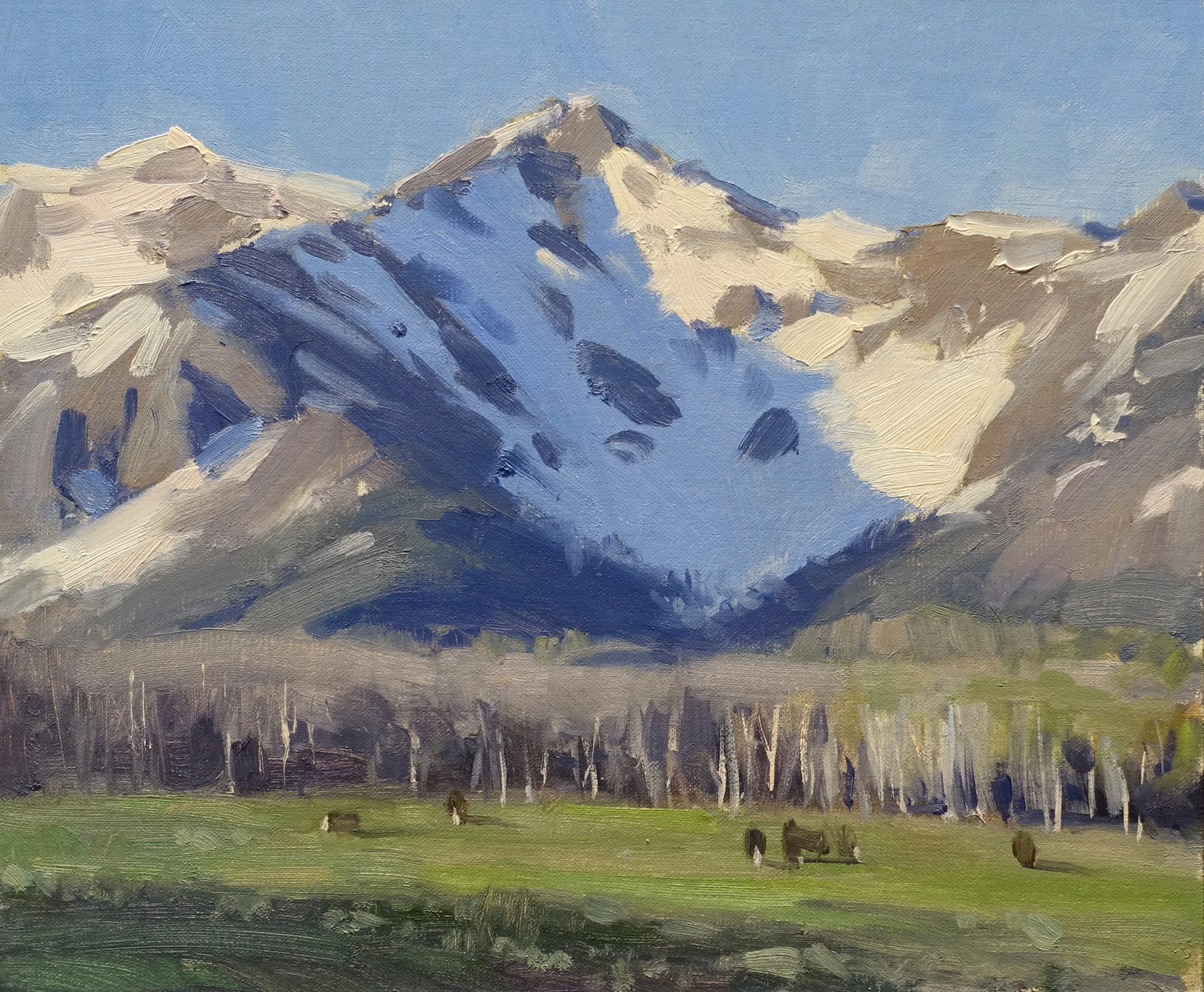colorado10x12.jpg