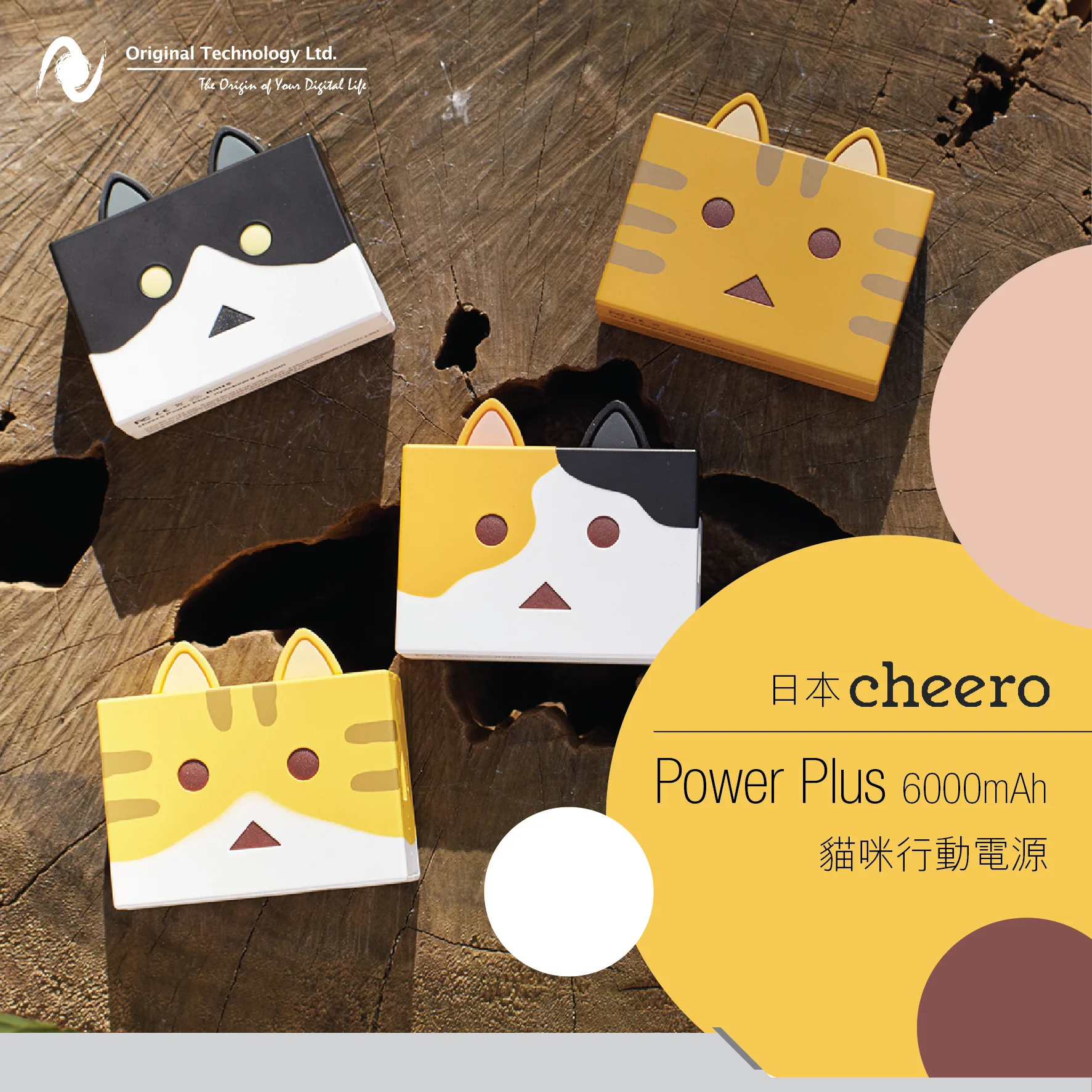 貓奴必備的日本貓咪電池 ’Cattery’ for full-time cat lovers