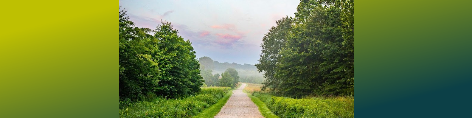 OPEN SPACE BANNER.png