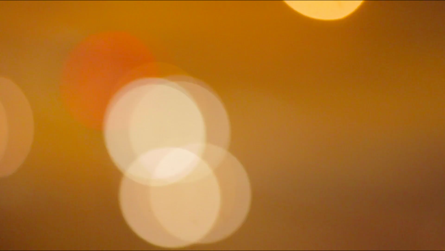 foca still.png