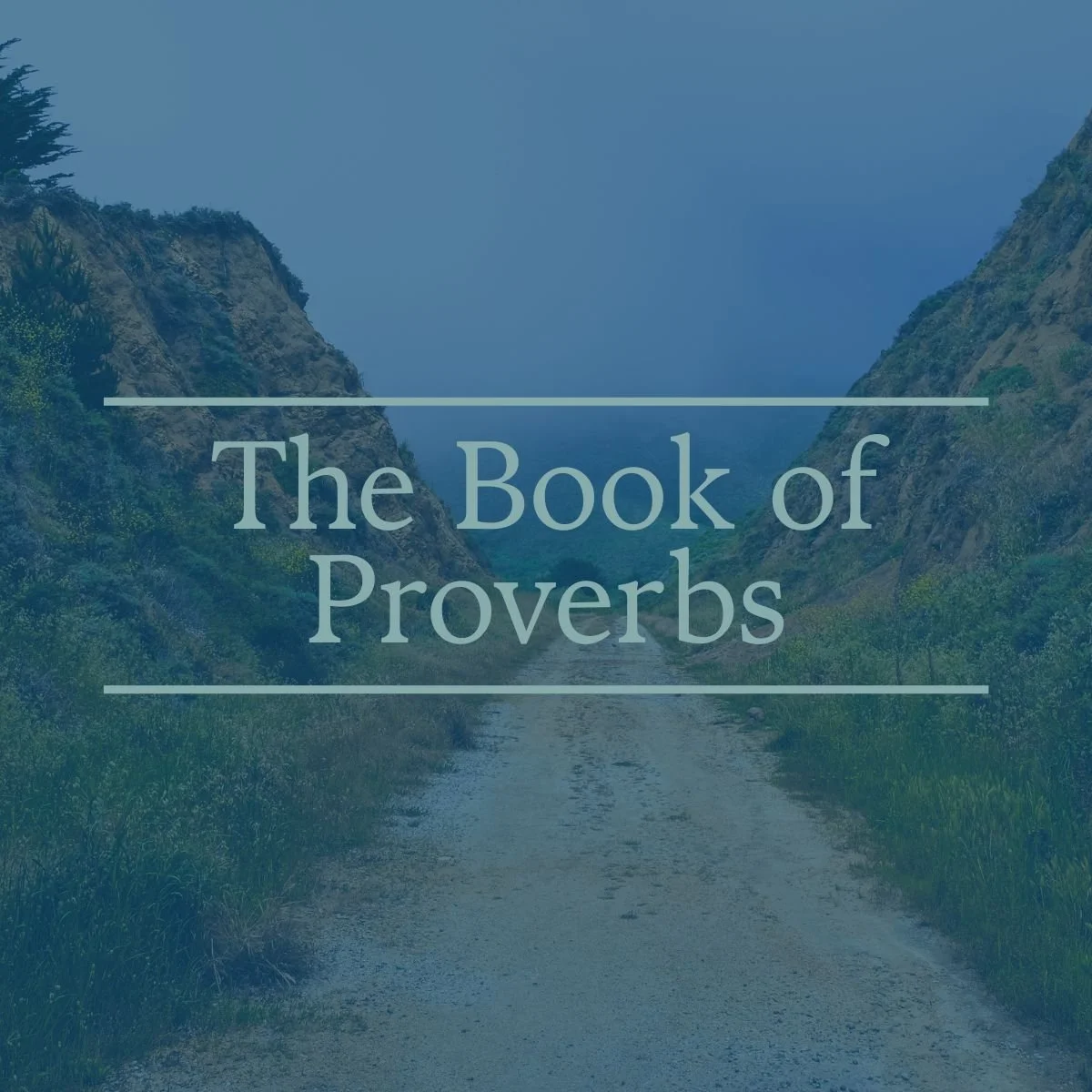 "How Do We Pursue Wisdom?" Proverbs 2:1-10 episode artwork