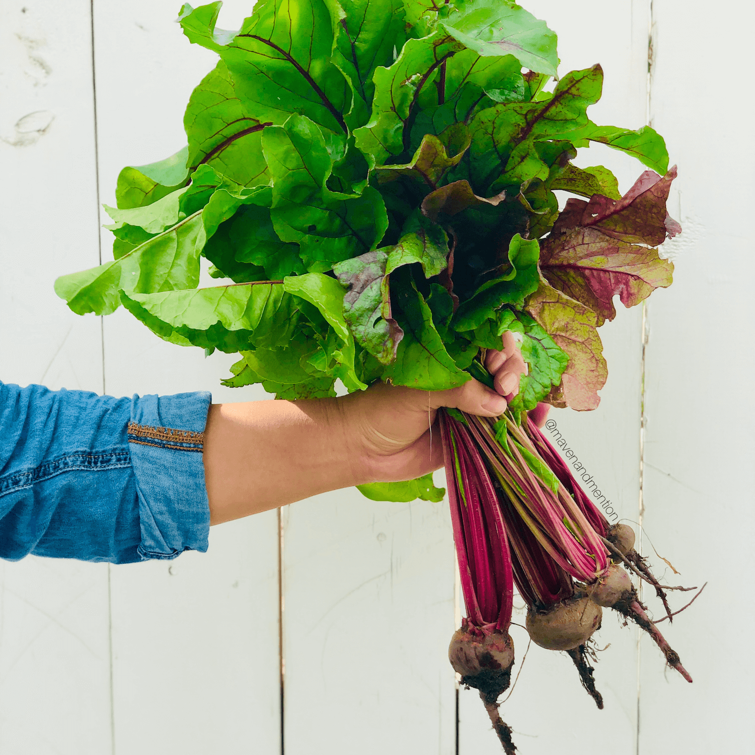3 Content Lessons Learned from a Green Thumb in the Making