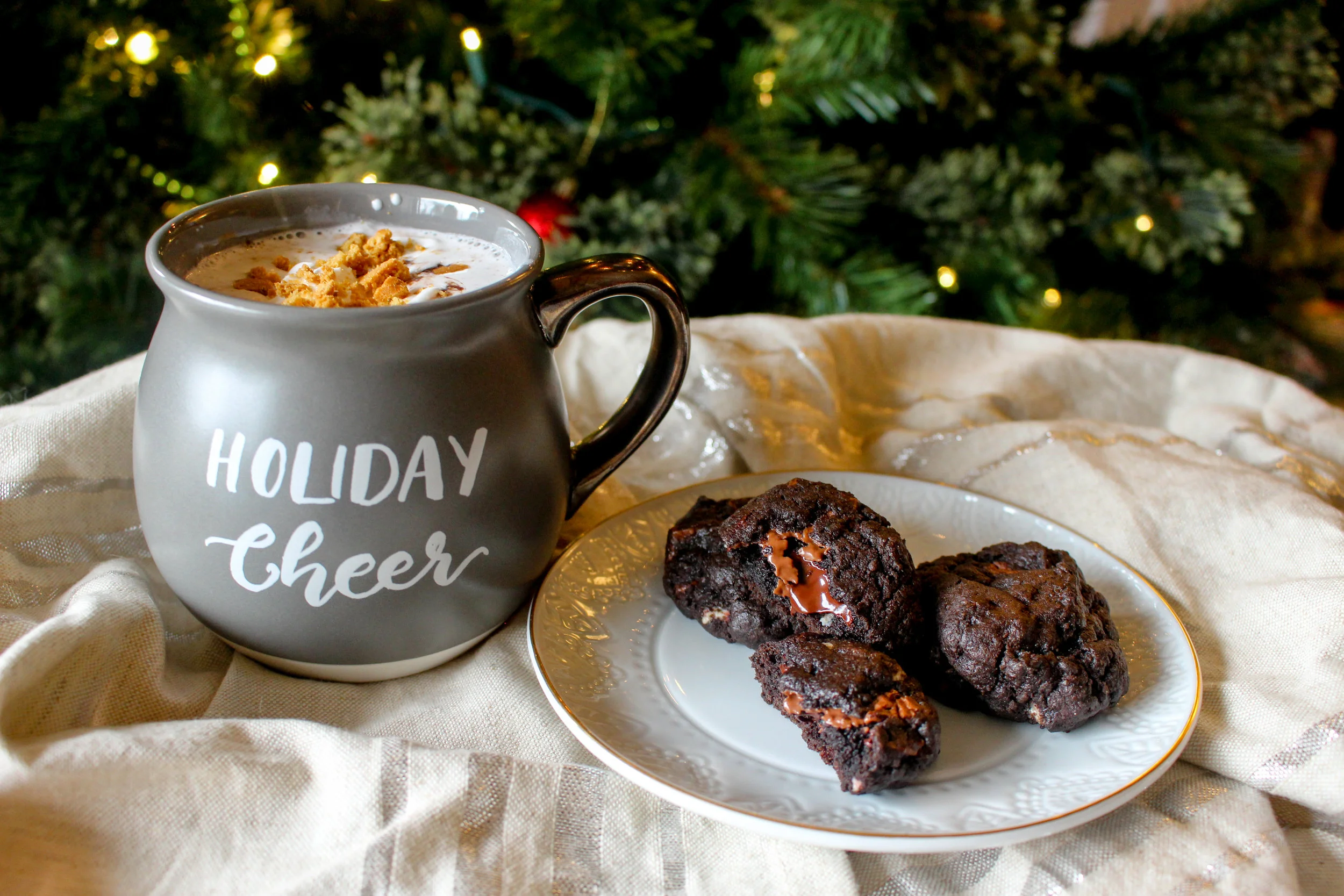 gingerbread hot cocoa and cookies-1.jpg