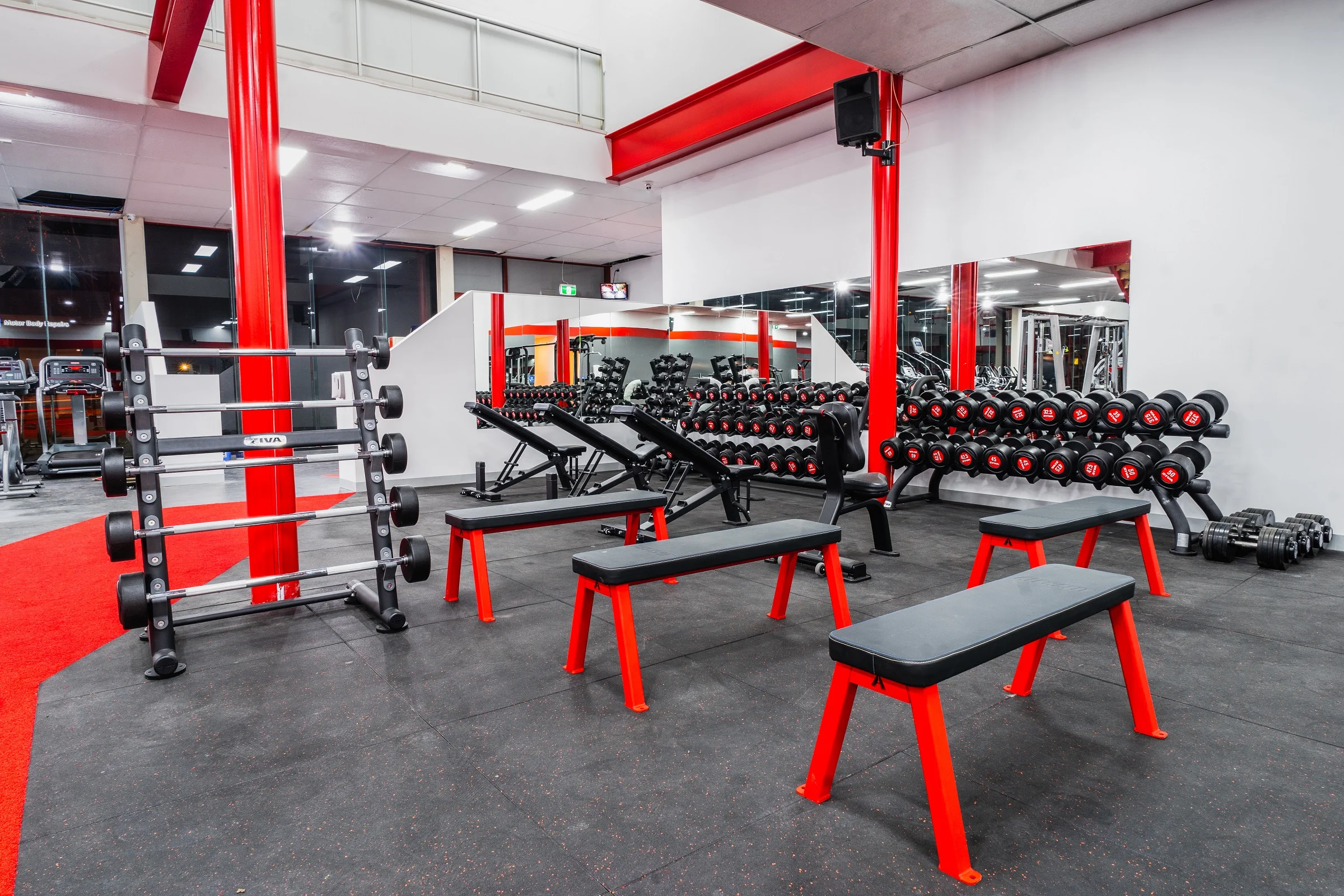 HD Freeweights Area View.jpg