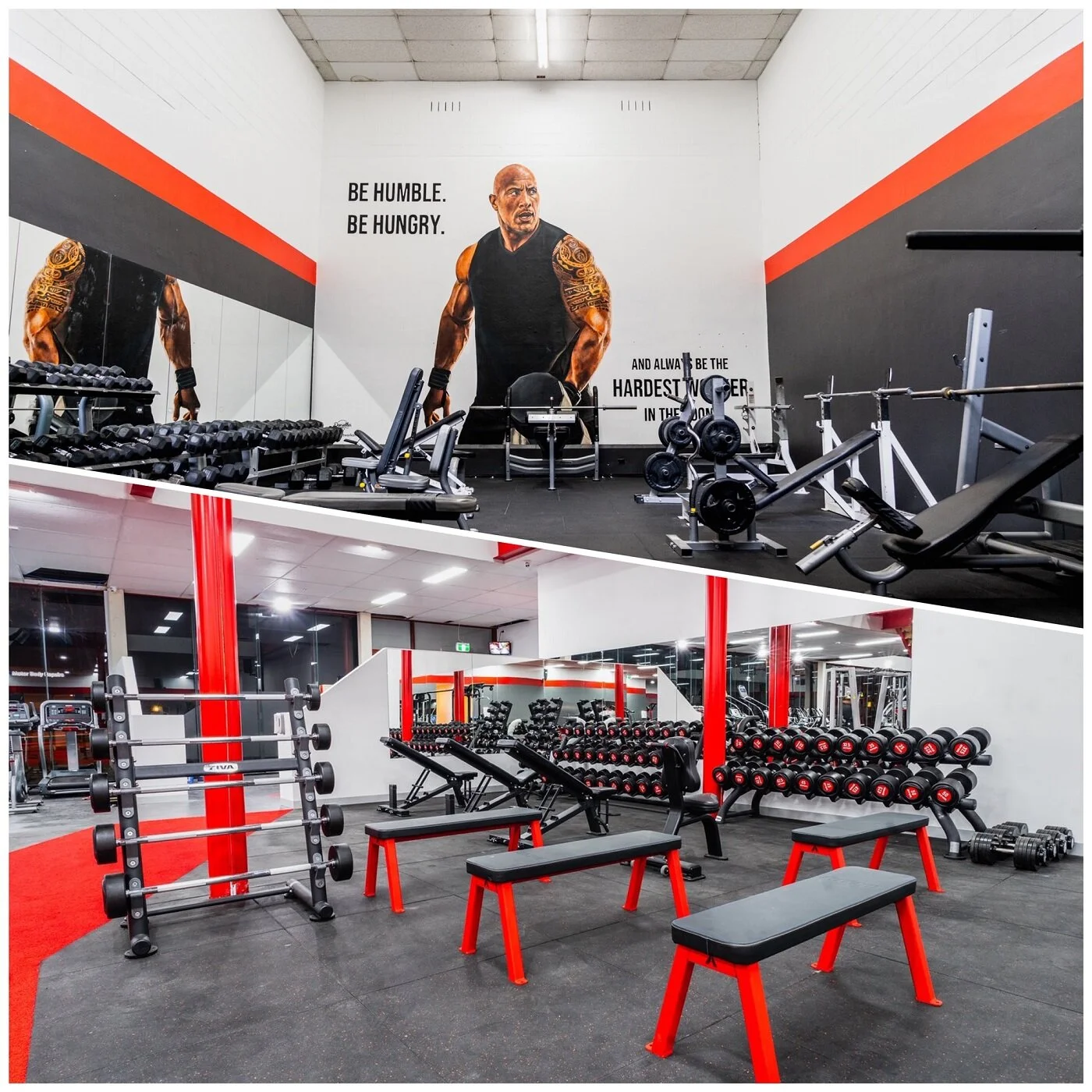 24 hour gym Mount Waverley