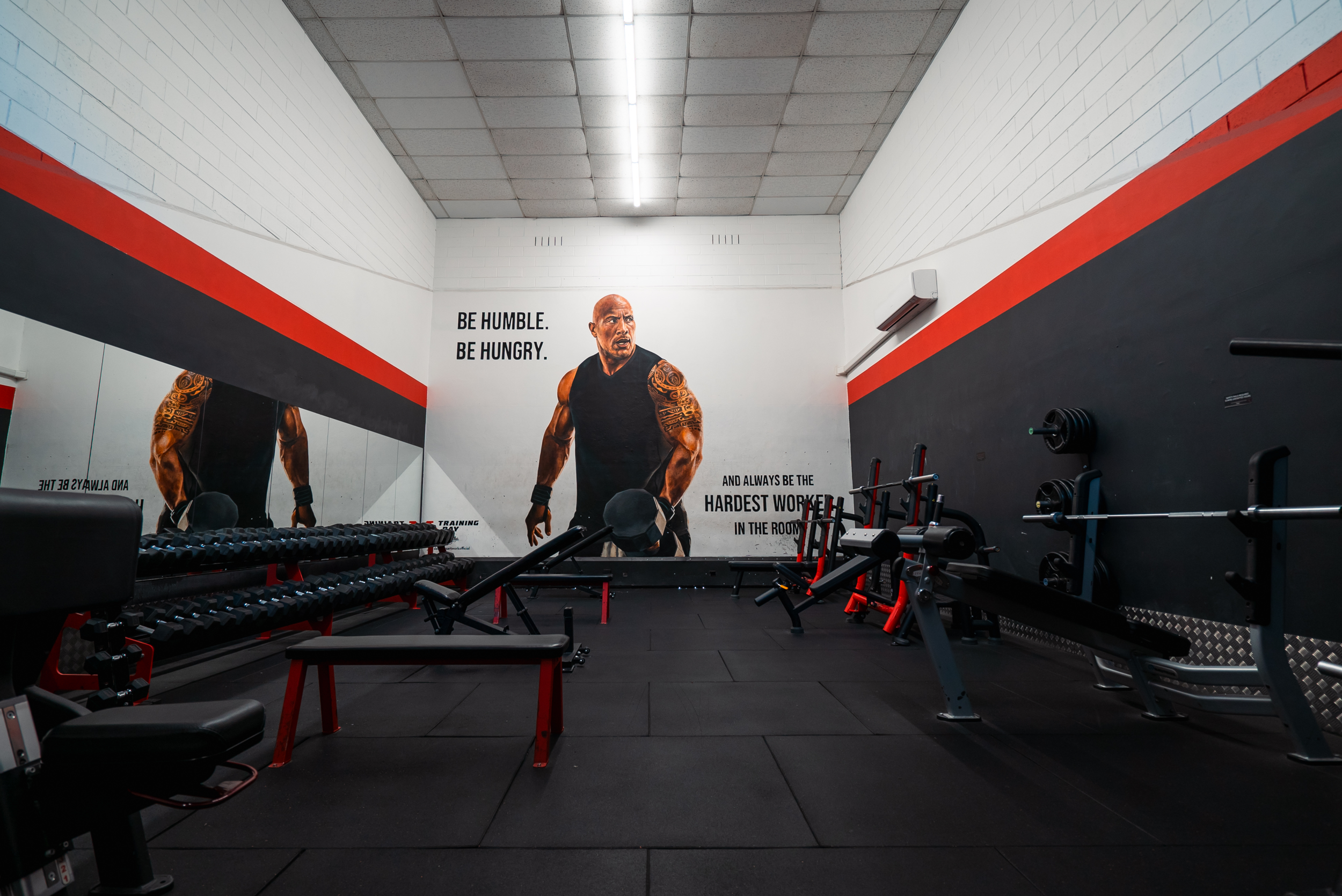 Copy of Dumbbells up to 60kg.png