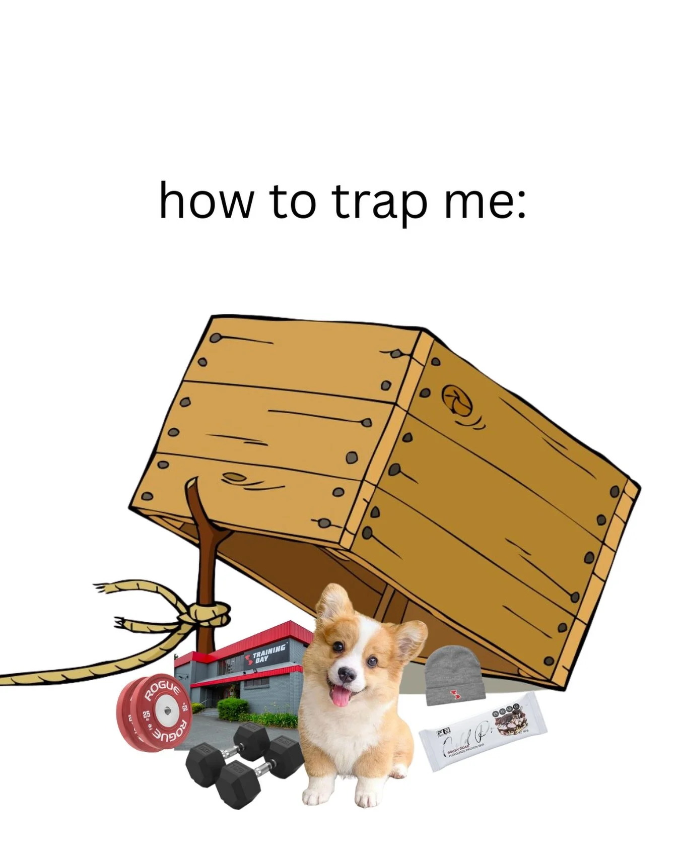 Once the dogs out and they offer a free Training Day membership I&rsquo;m gone 💨

📍@trainingdaygymburwood

#burwoodgym #gymburwood