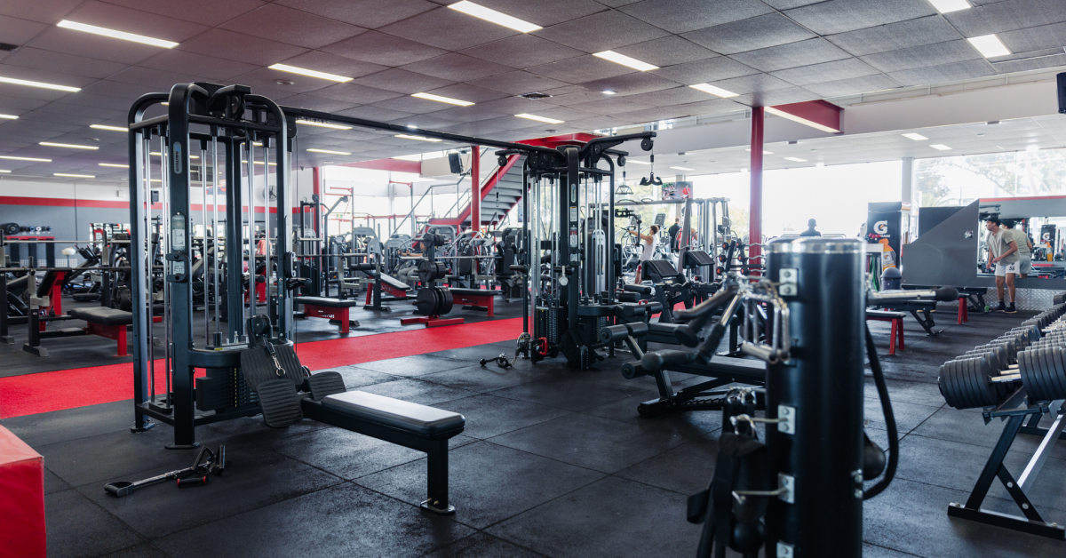 Copy of Frame 14.png