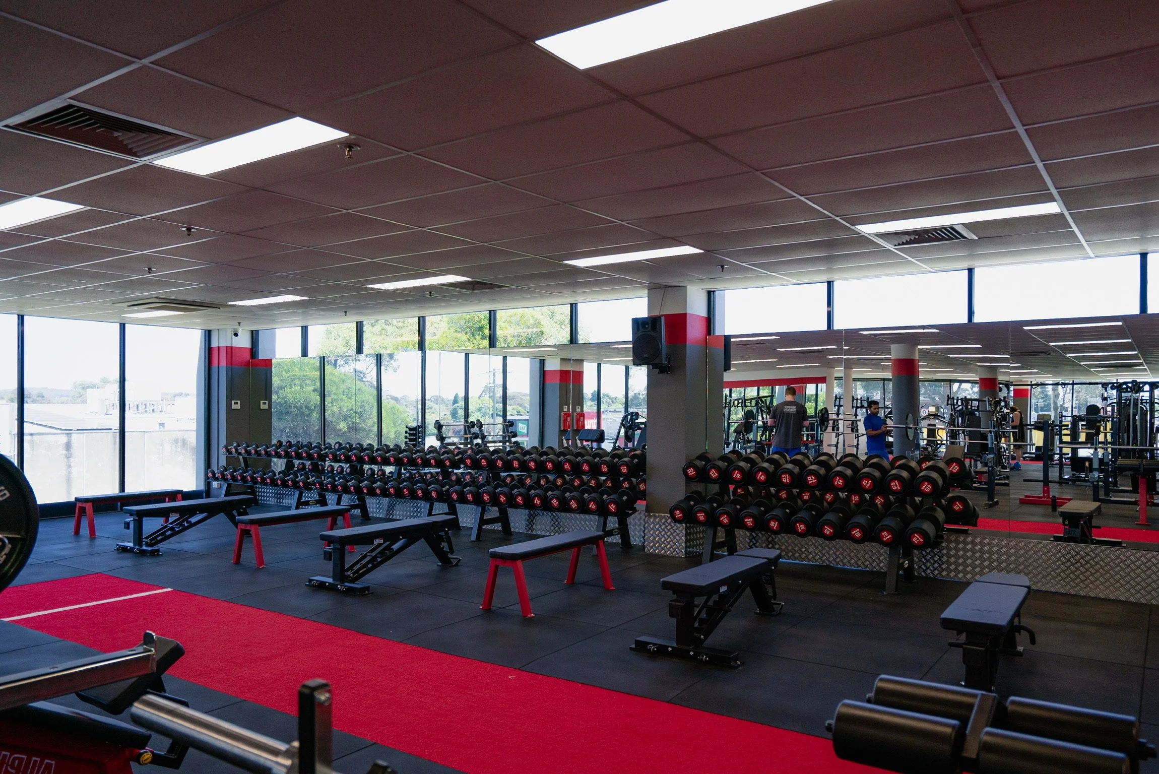 Copy of Dumbbells up to 70kg2.JPG