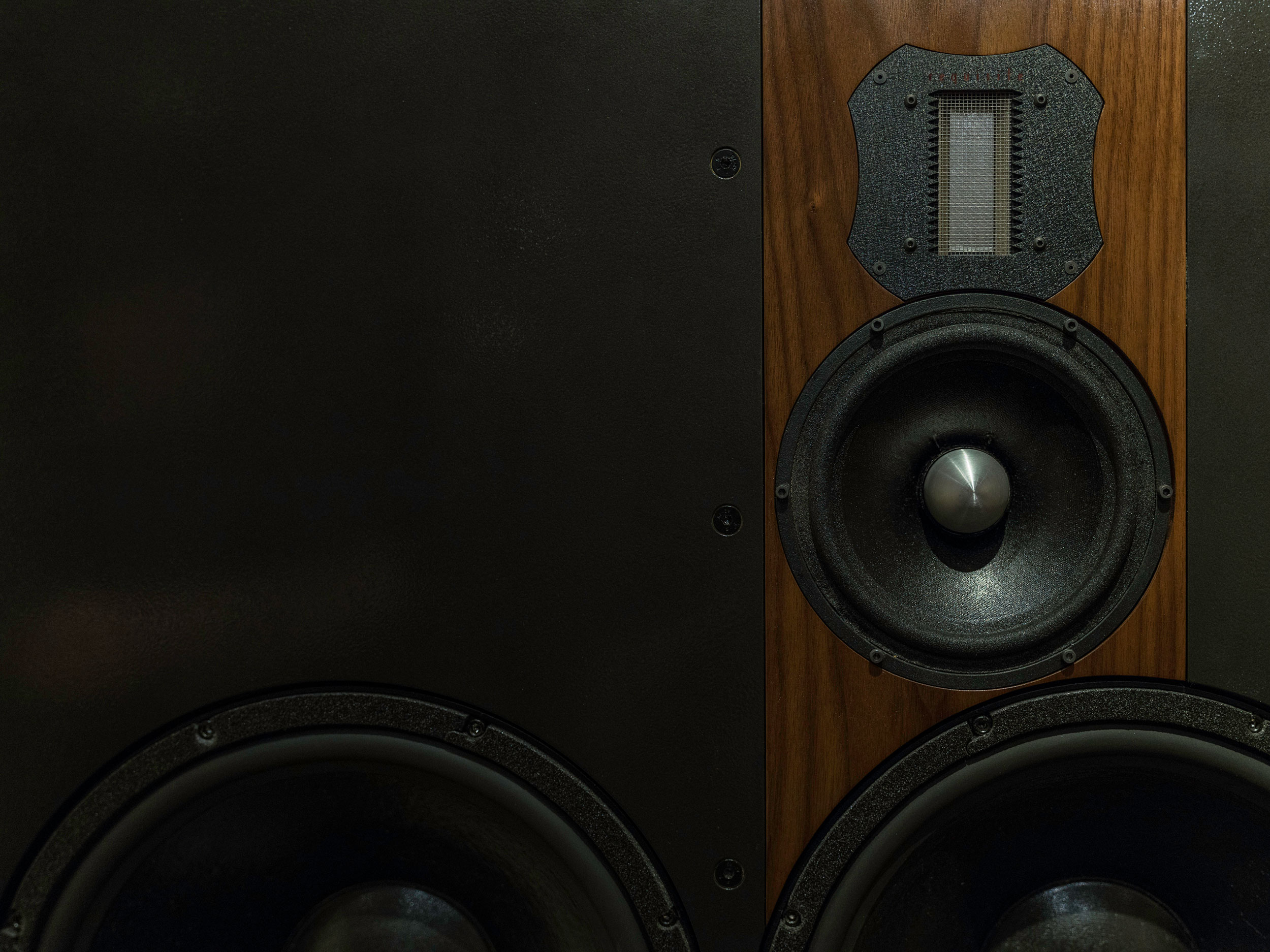 Heavily modified ATC SCM200 mains- Raal ribbon high frequency drivers, lambda TD6h mids, and the DEQX system for crossover and phase, group delay and frequency tuning make this system one of the most accurate in existence. 