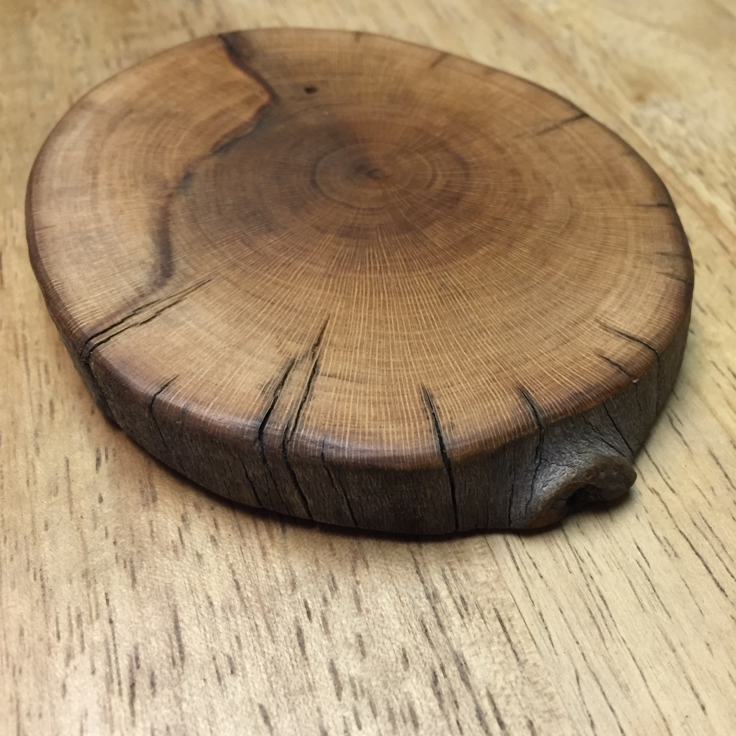 Eucalyptus Coaster