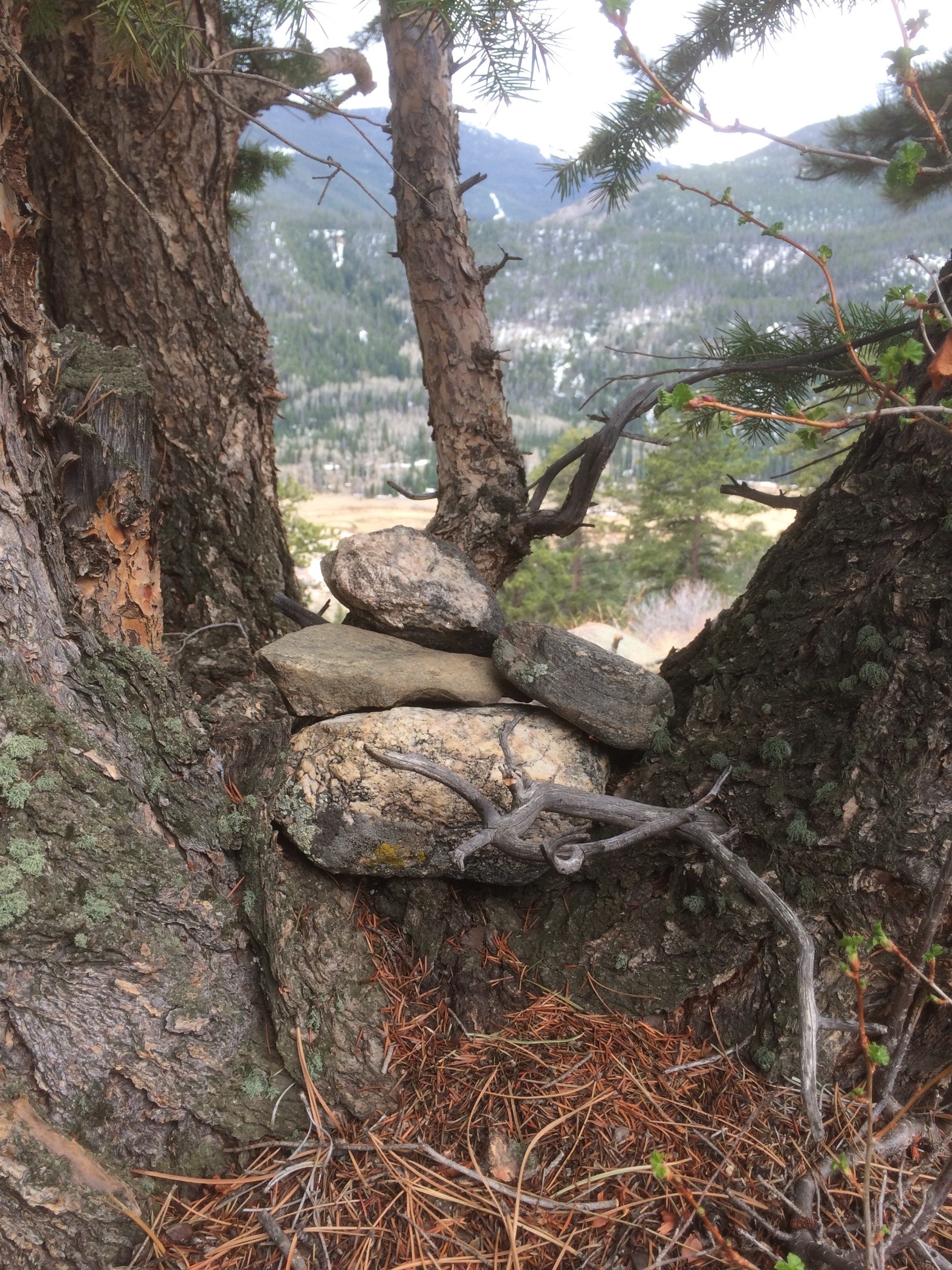 A Little Monument I Made in RMNP -- It's been there for years now:)