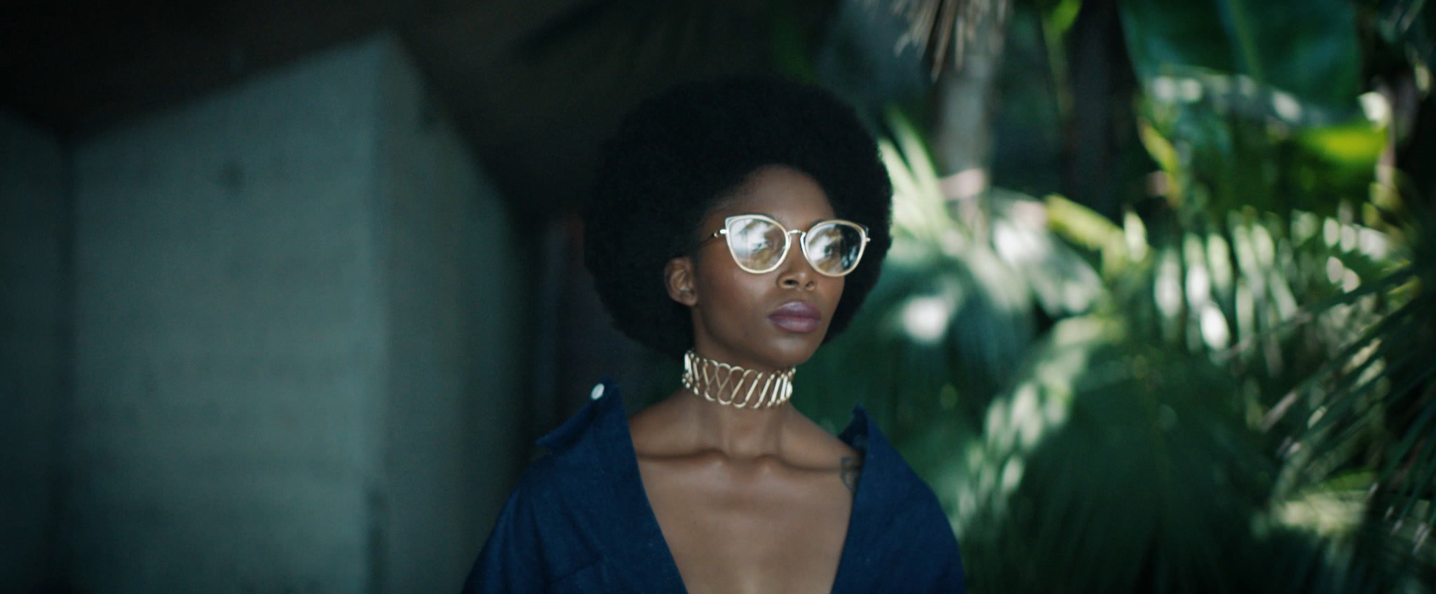 Haze Eyewear