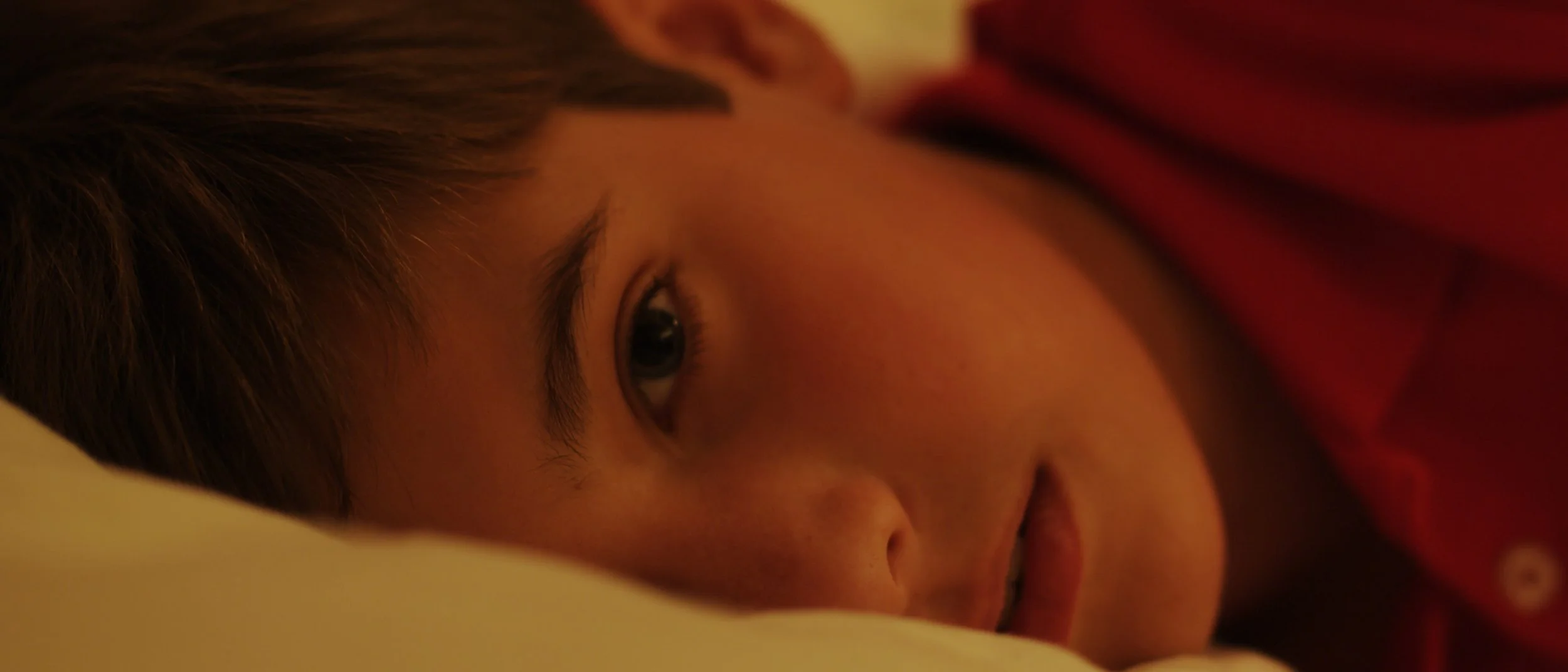 The Honesty and Irony - Short Film 