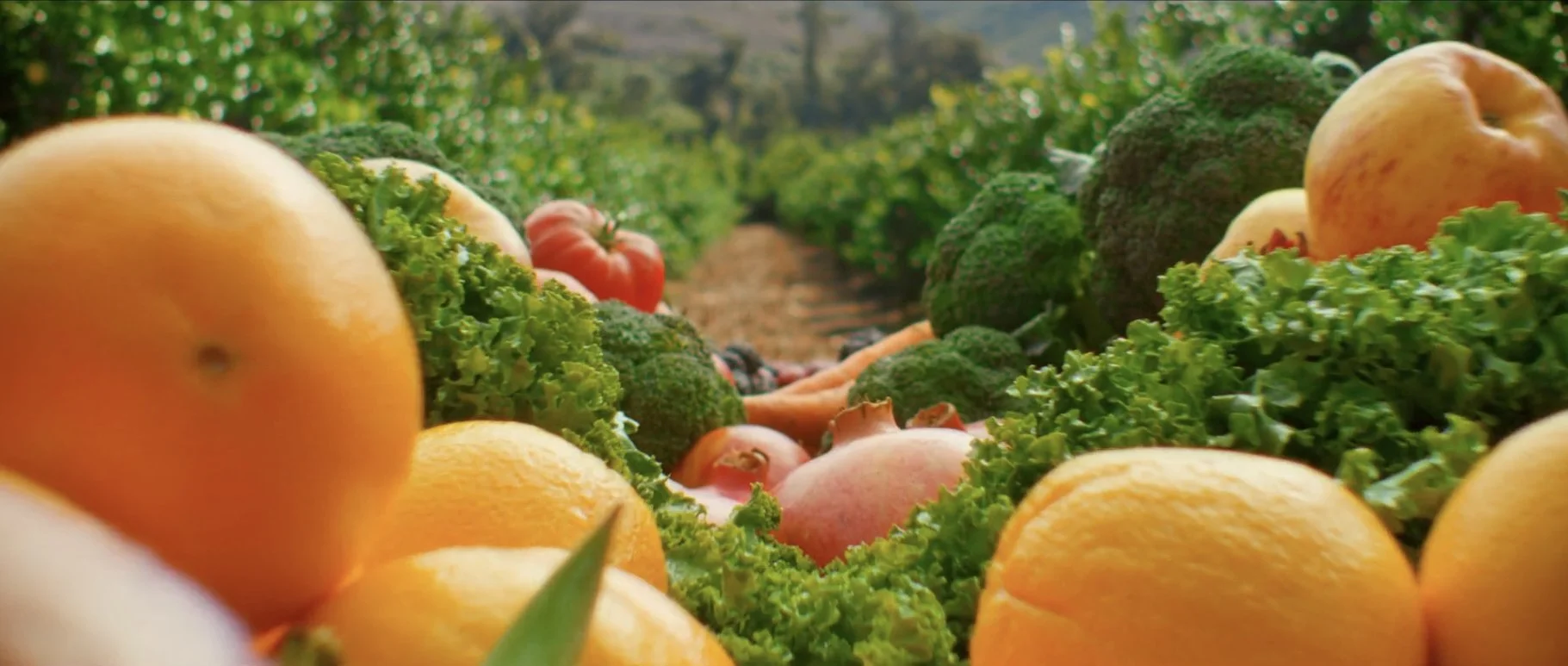 Juice Plus+ - “Goodness is our Natural State"