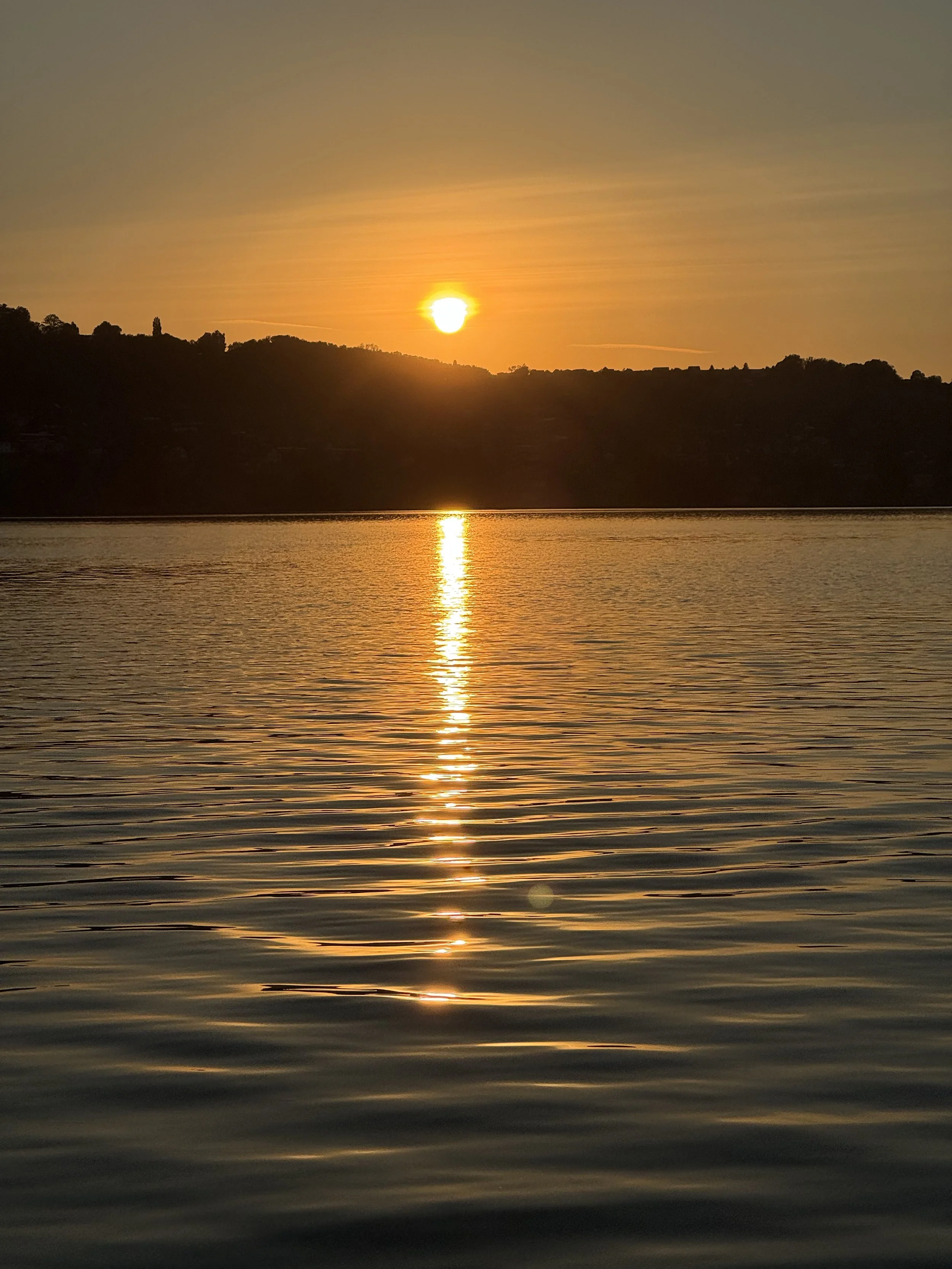 Das Paradox der Freiheit