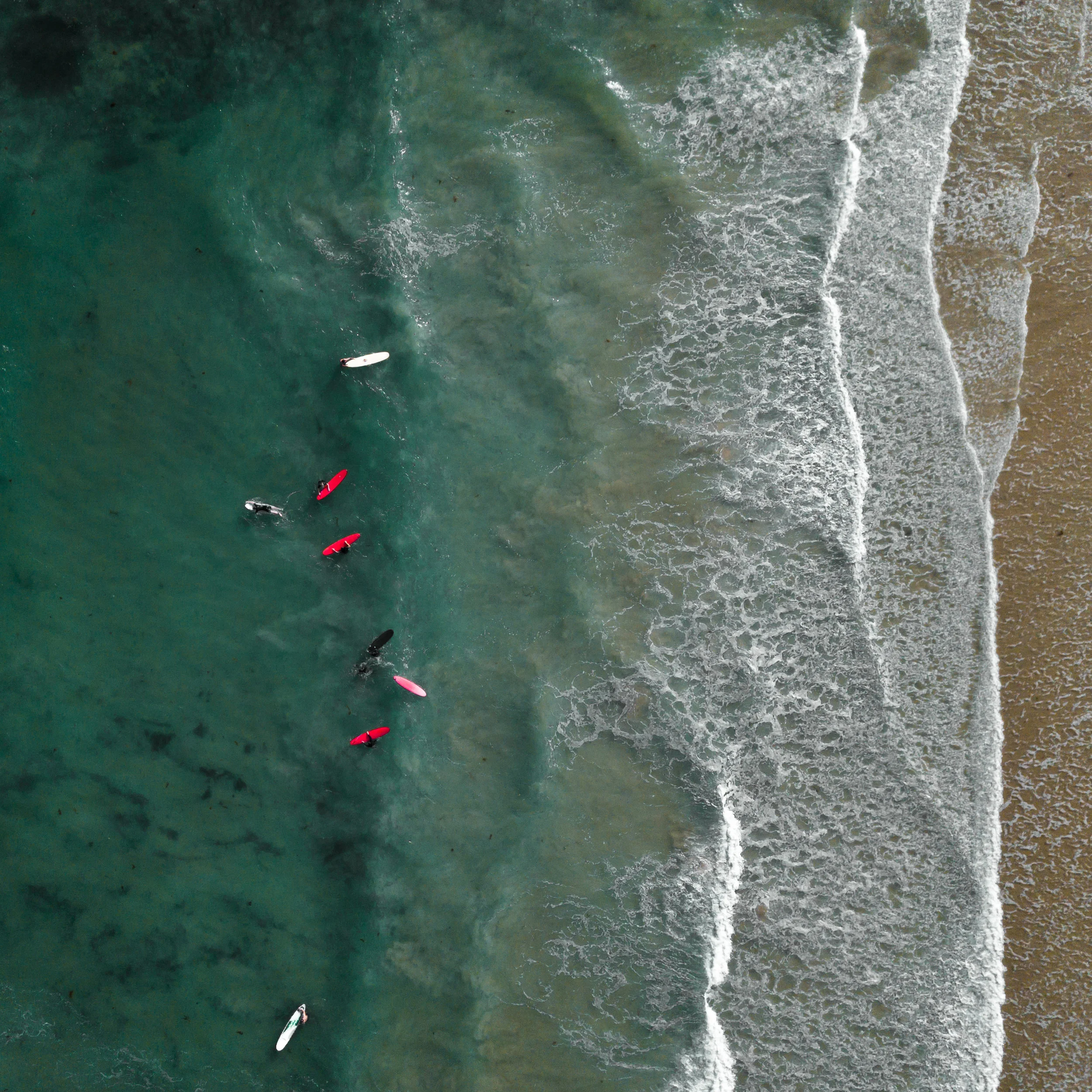 DJI_0036.jpg