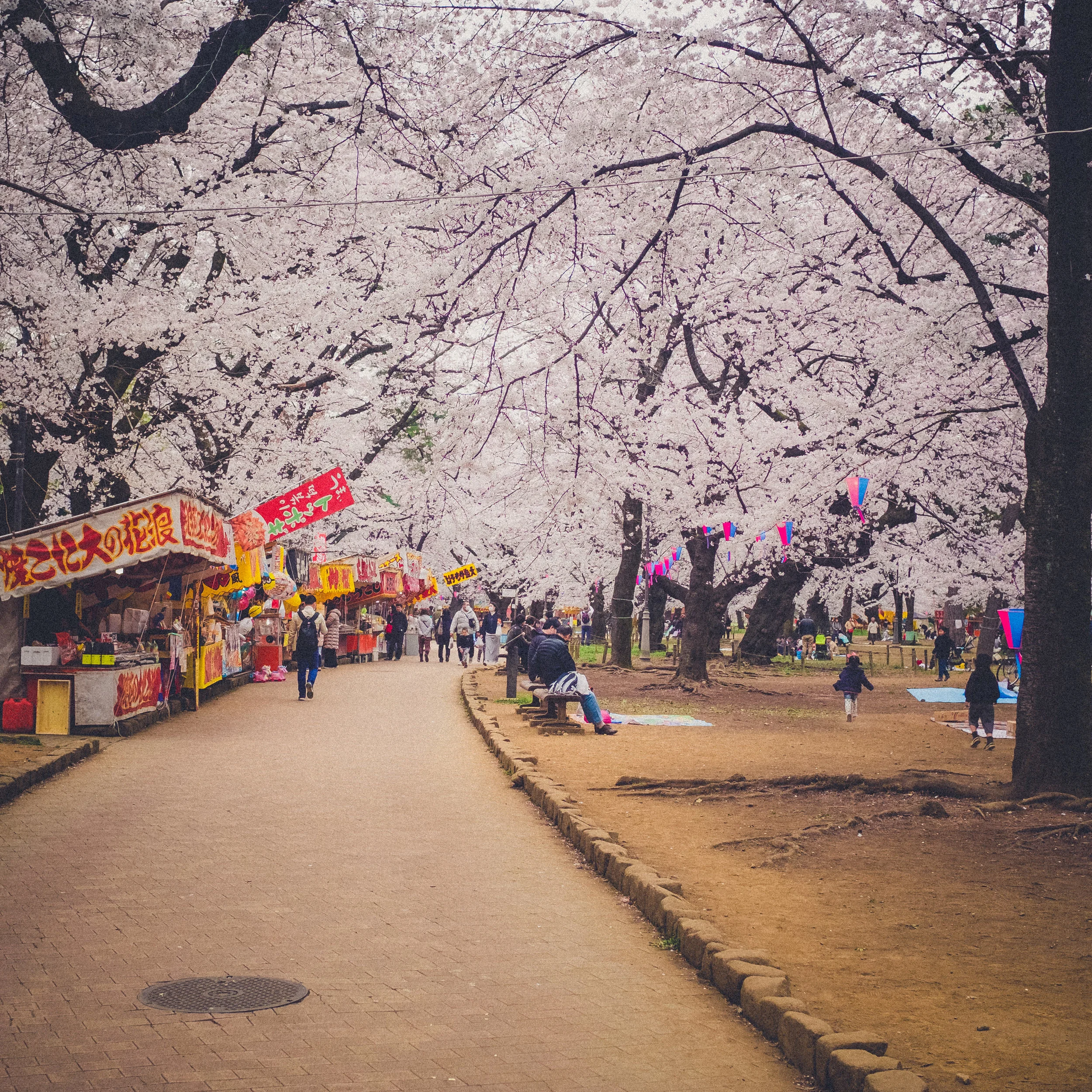 Omiya Park - Saitama