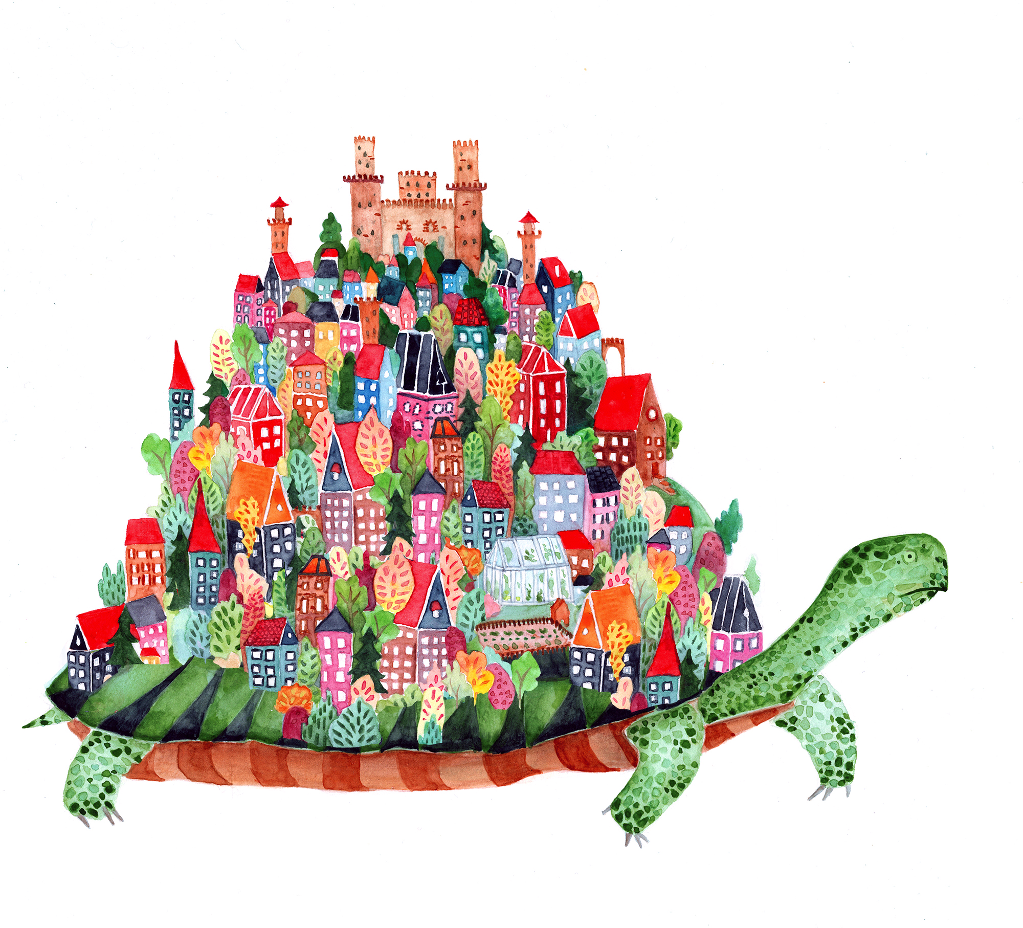turtle.city.jpg