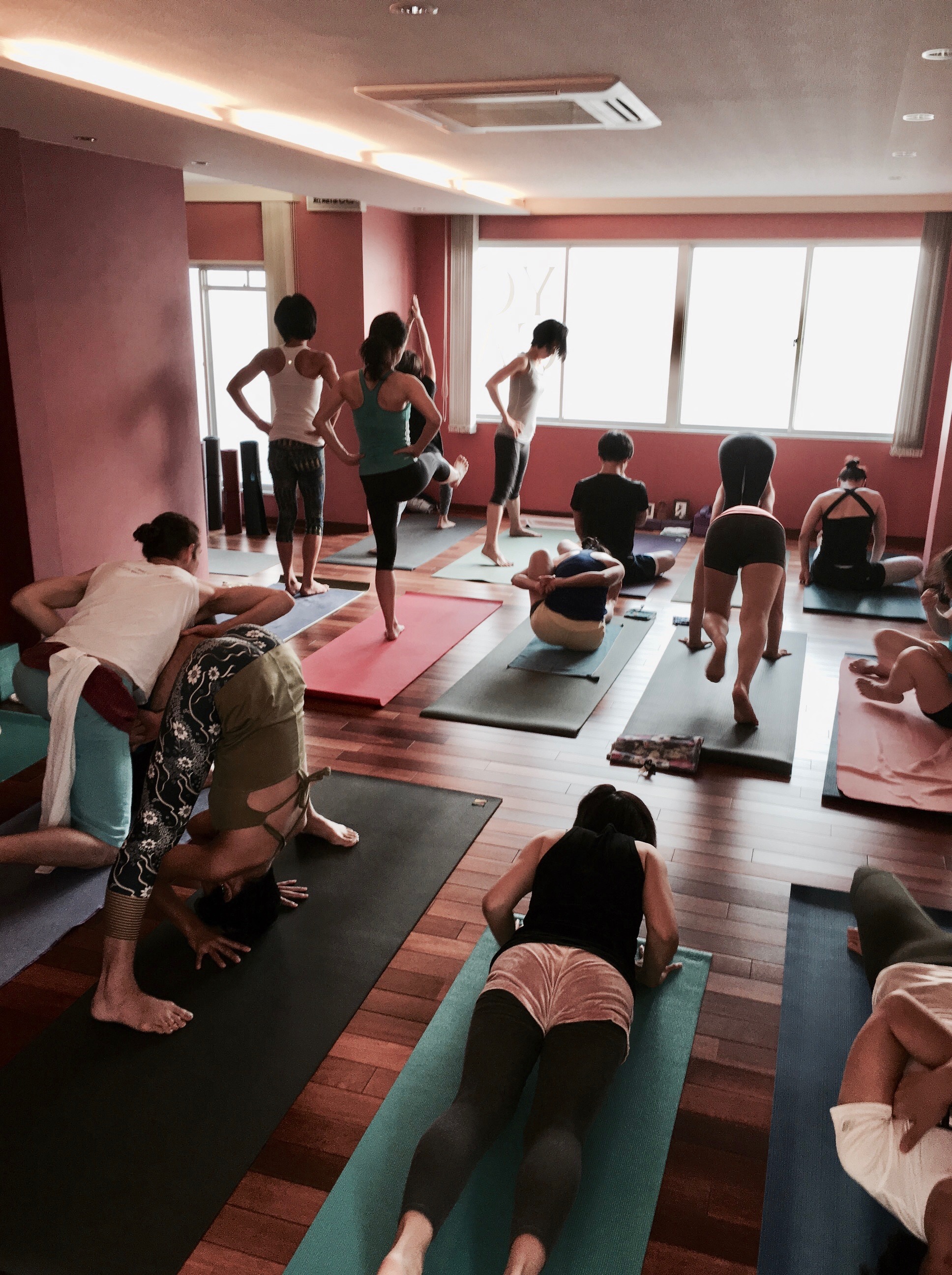 経歴 — Ashtanga Yoga | Mysore Yoga Wellington