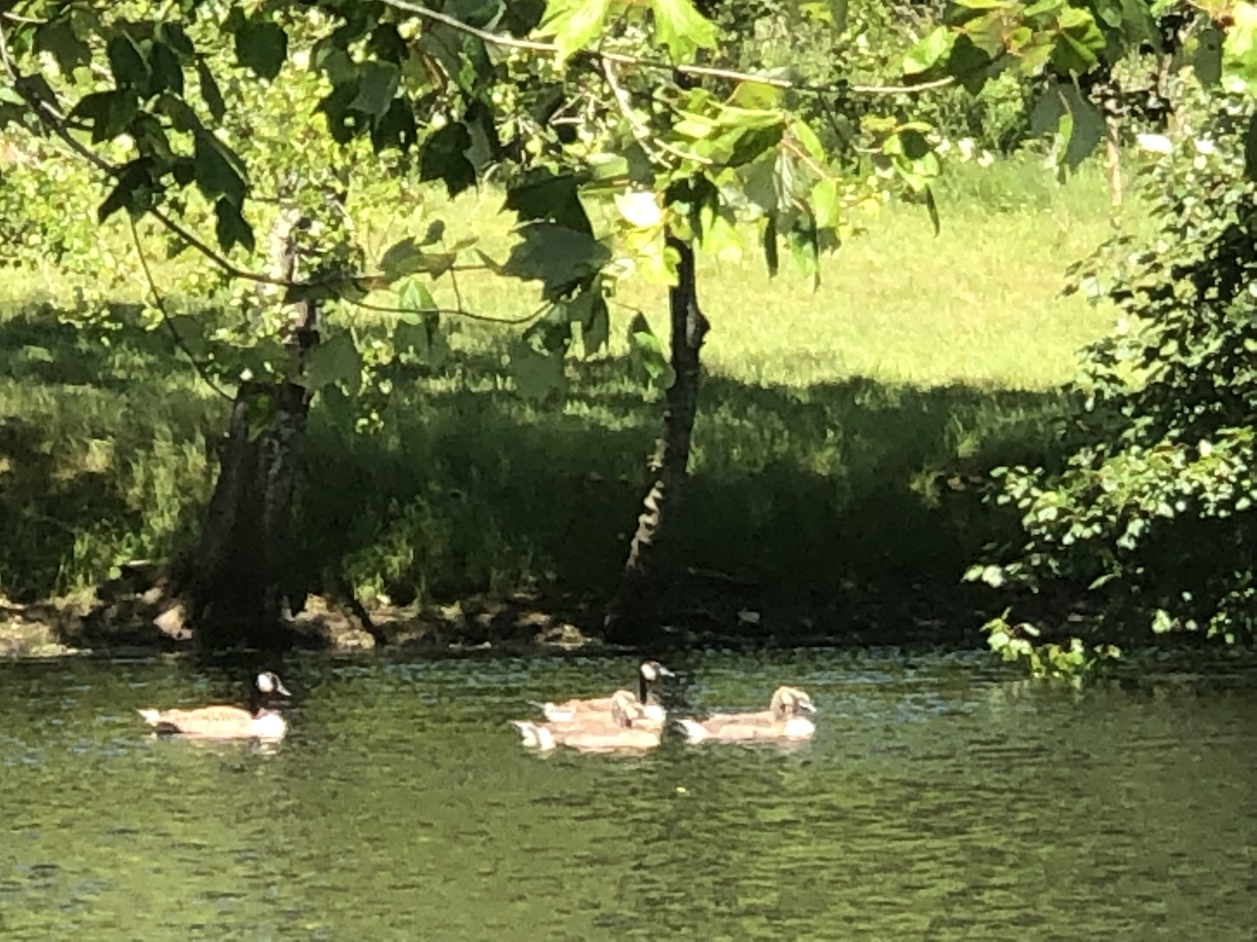 2166 Scuttle Hole Road, Bridgehampton