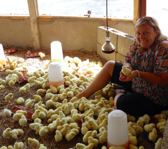 Check out these chicks, ALERT (27.09.2013)