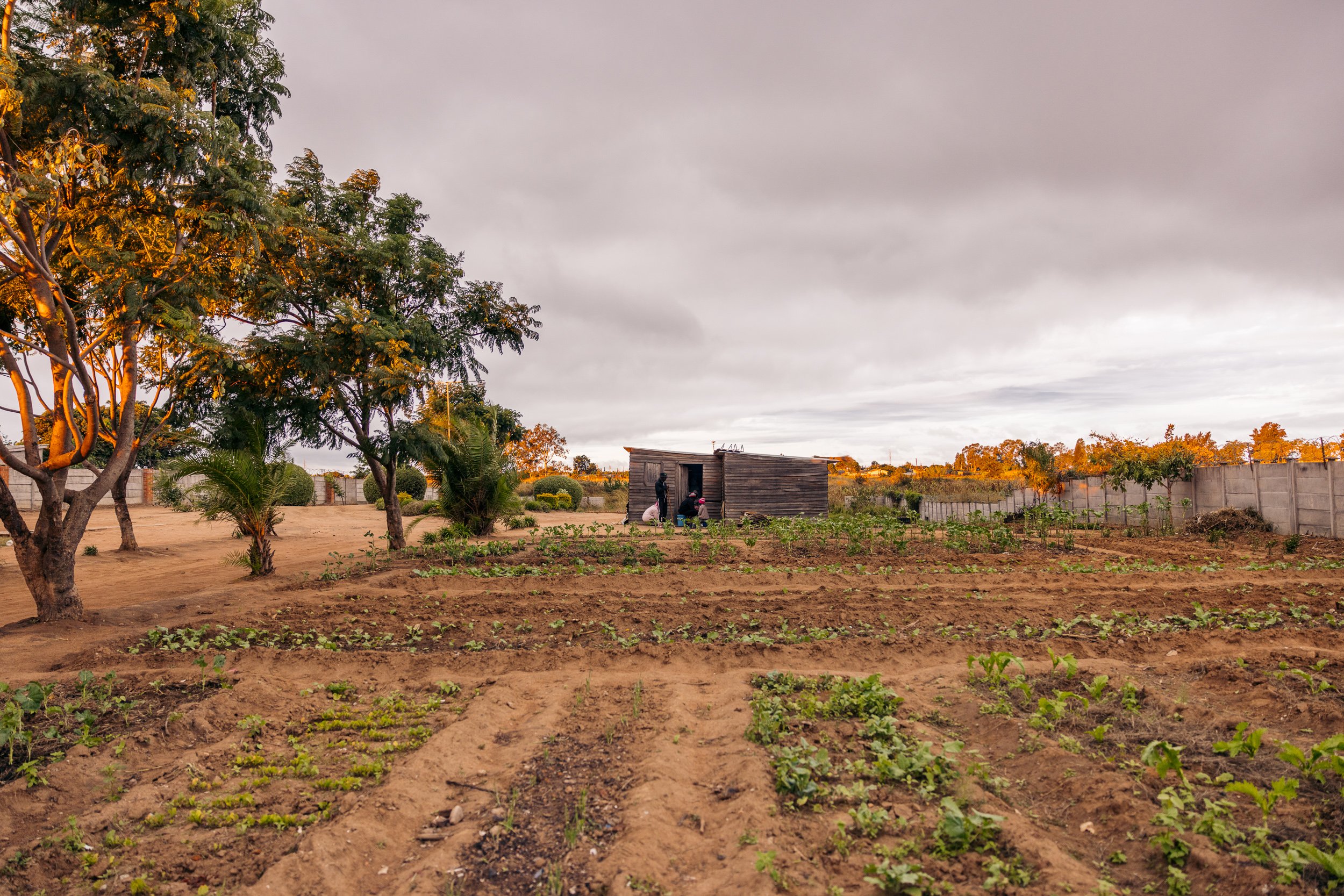 Hope Project - resized (63 of 253).jpg