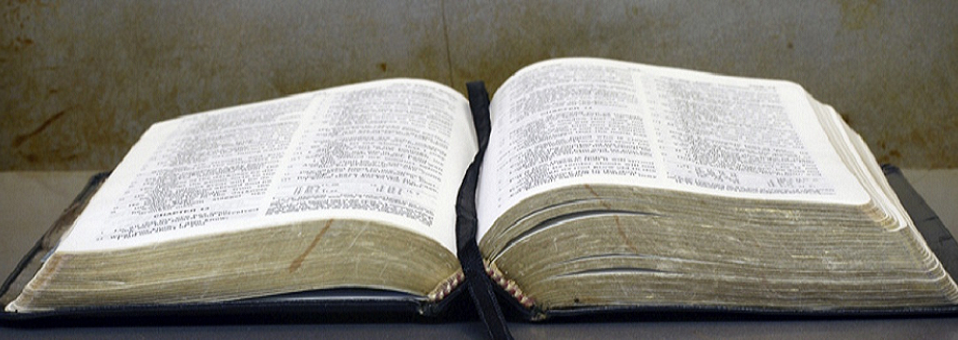 open-bible-revised-958x340.png