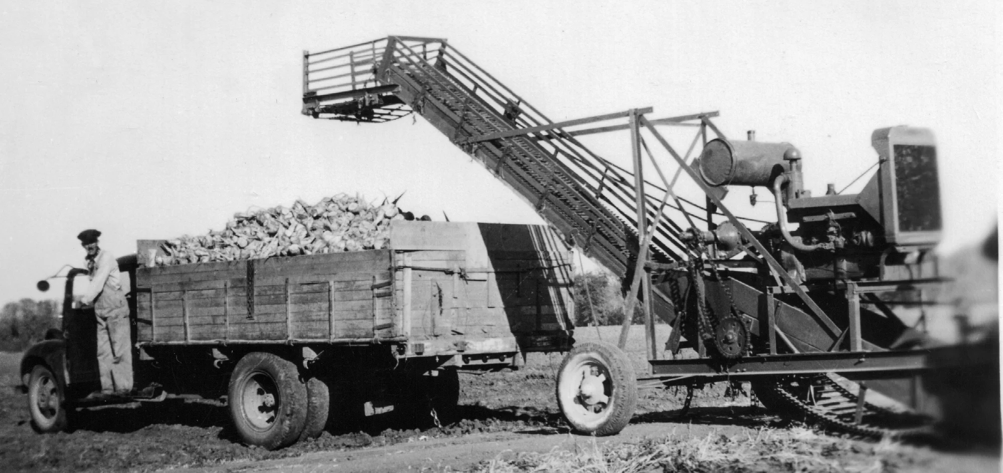 Farm_Life Art Hanson Beet Harvestor 2.jpg