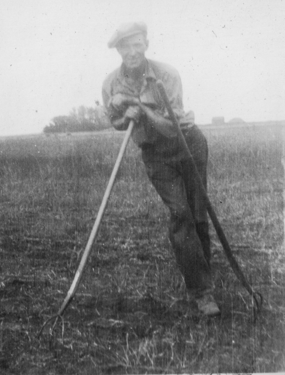 Farm_Life Arthur Hanson.jpg