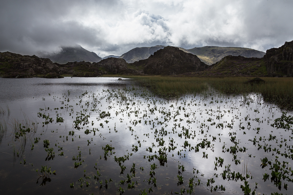 Tarn