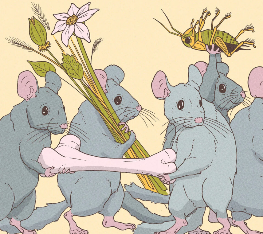 POPULAR SCIENCE MAGAZINE