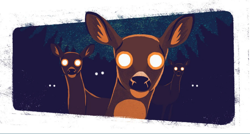 SORT OF FUNNY FIELD GUIDES NEWSLETTER