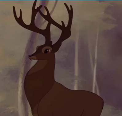 SORT OF FUNNY FIELD GUIDES NEWSLETTER