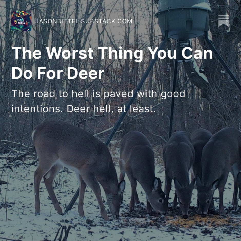 SORT OF FUNNY FIELD GUIDES NEWSLETTER