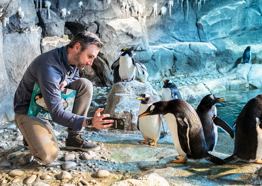 SORT OF FUNNY FIELD GUIDES NEWSLETTER