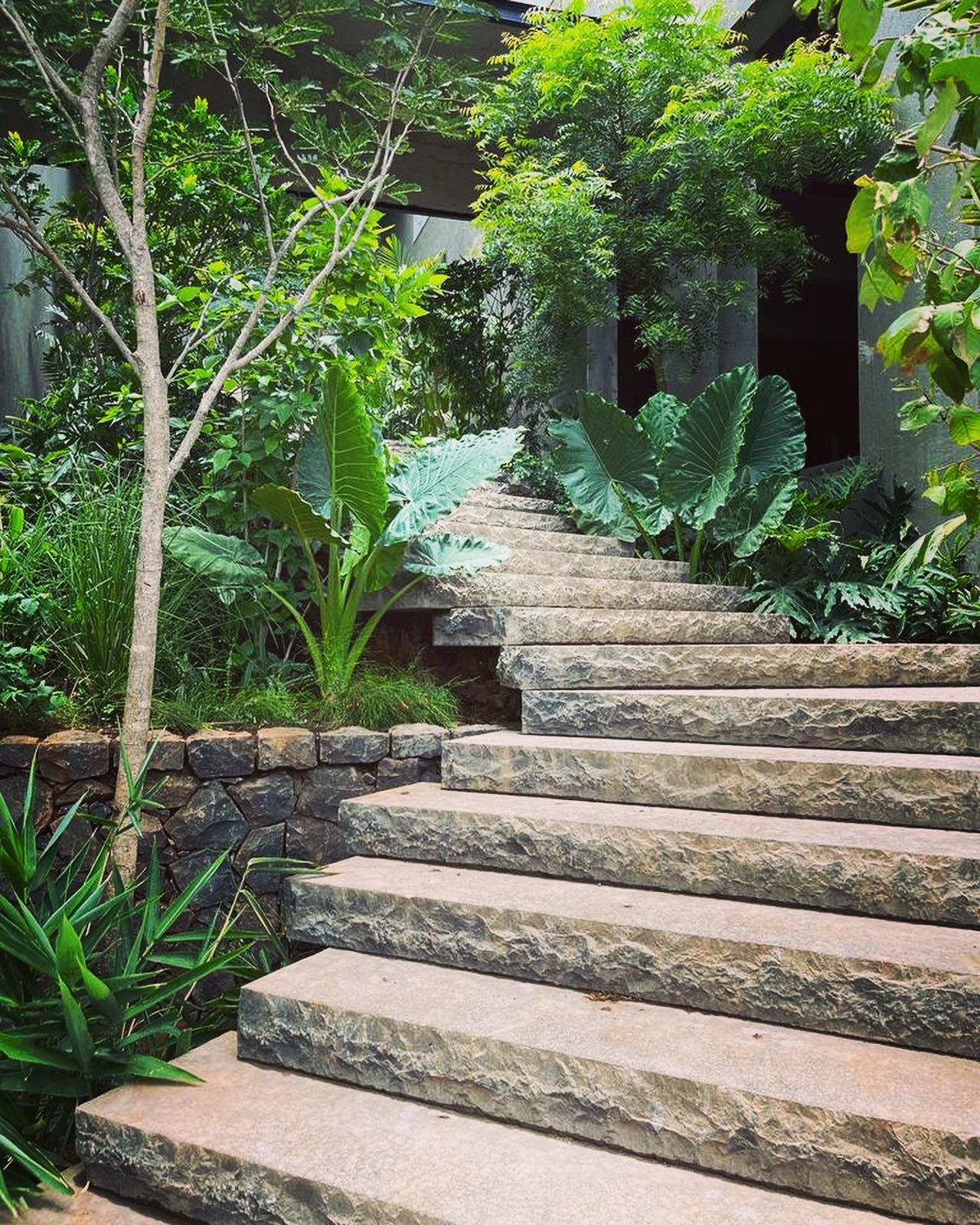 Progress photos of this long meandering basalt staircase connecting three floors of the house. A long term project in Alibaug, India designed in collaboration with @jemhanbury and mumbai based architects @casedesign.in 
Recent planting starting to es