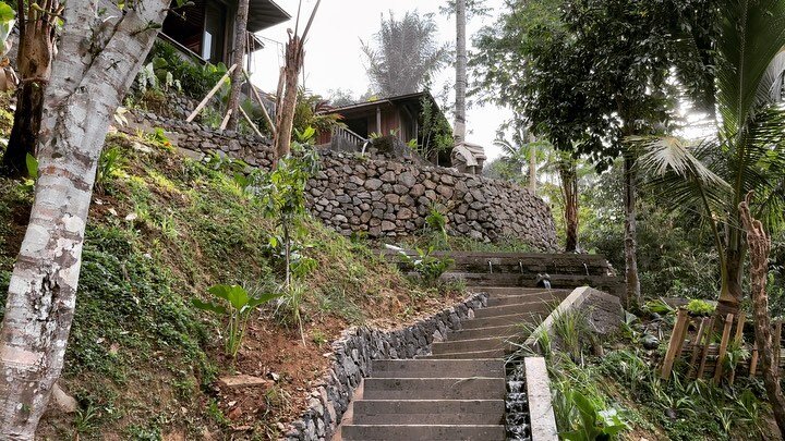 Progress on the lower slopes of this long term project in Bali. Another collab with old mate @jemhanbury 
Construction nearly finished and planting underway. Testing the extensive network of water rills and filling the vast kolam by the river all fed