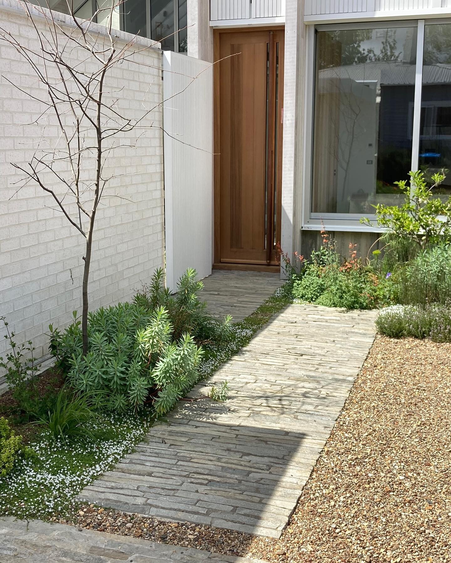 Thrilled to find out this courtyard garden we designed last year won three awards at the Registered Master Landscapers awards on Saturday. Including the Supreme award, Best horticulture award and best sustainable design. Installed and maintained by S